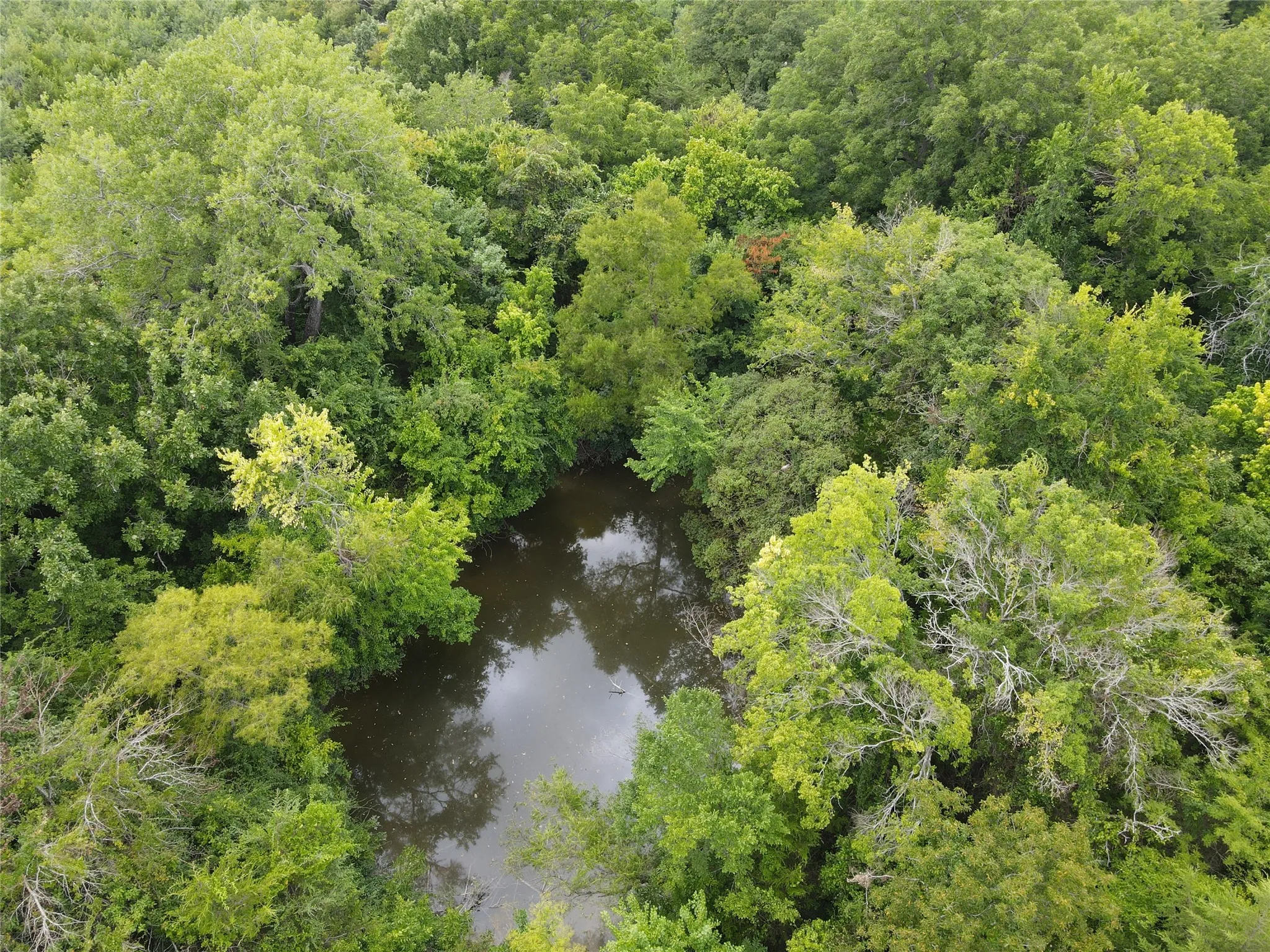 Unimproved Land For Sale in Fannin County , TBD County Road 4245, Bonham, Texas 75418, 0, 0, Garage spaces, 0 Sqft, built in 0, Price $415,000, mls#21341470, Real Estate Agent in Bonham, Homes For Sale in Fannin county, Homes For Sale in Bonham, Realtor in Bonham Texas, Real Estate Brokerage Independent Realty Texas, Luminita Cordes Realtor