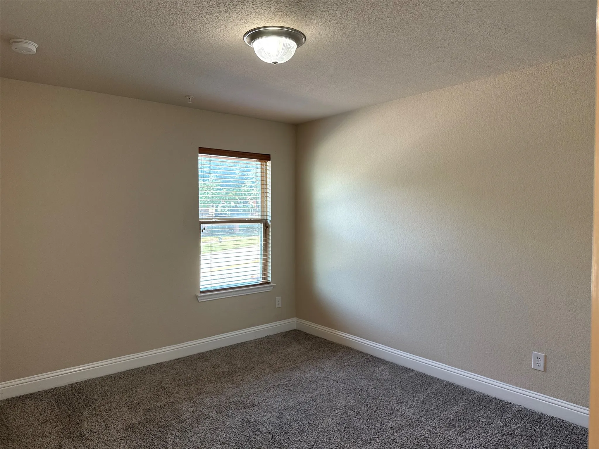 Neutral-toned walls complement the gray carpeting