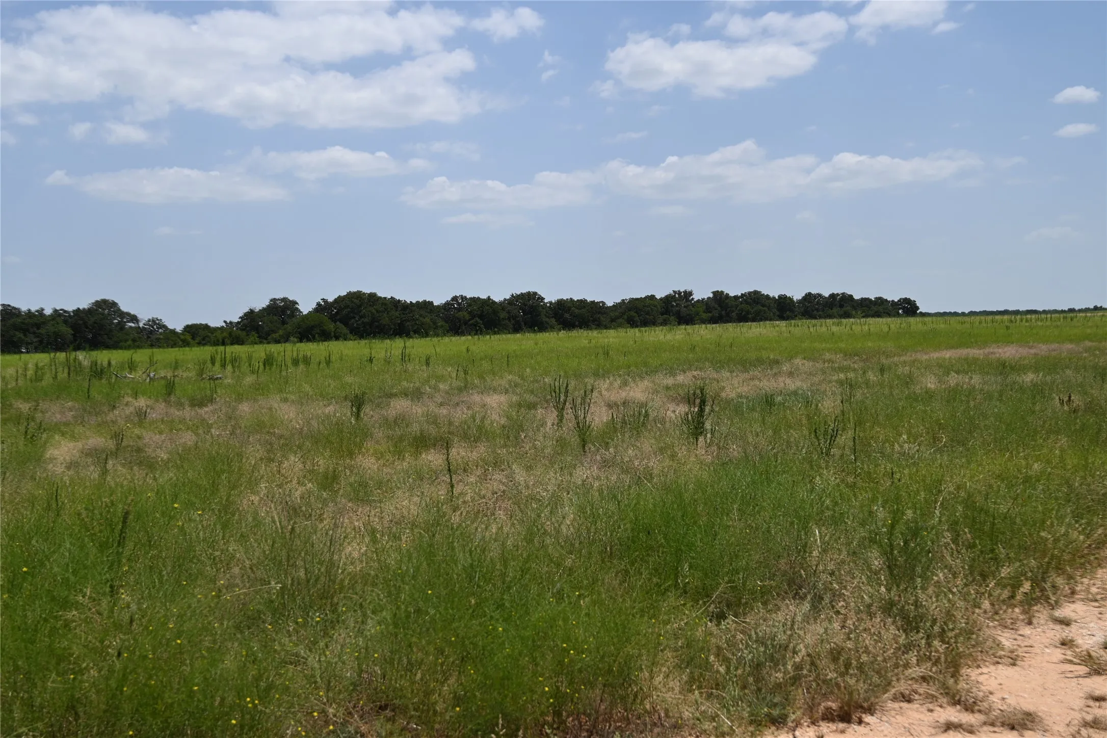 Ranch For Sale in Comanche County , 54 Acres TBD CR 195, Gorman, Texas 76454, 0, 0, Garage spaces, 0 Sqft, built in 0, mls#21341507, Real Estate Agent in Gorman, Homes For Sale in Comanche county, Homes For Sale in Gorman, Realtor in Gorman Texas, Real Estate Brokerage Independent Realty Texas, Luminita Cordes Realtor