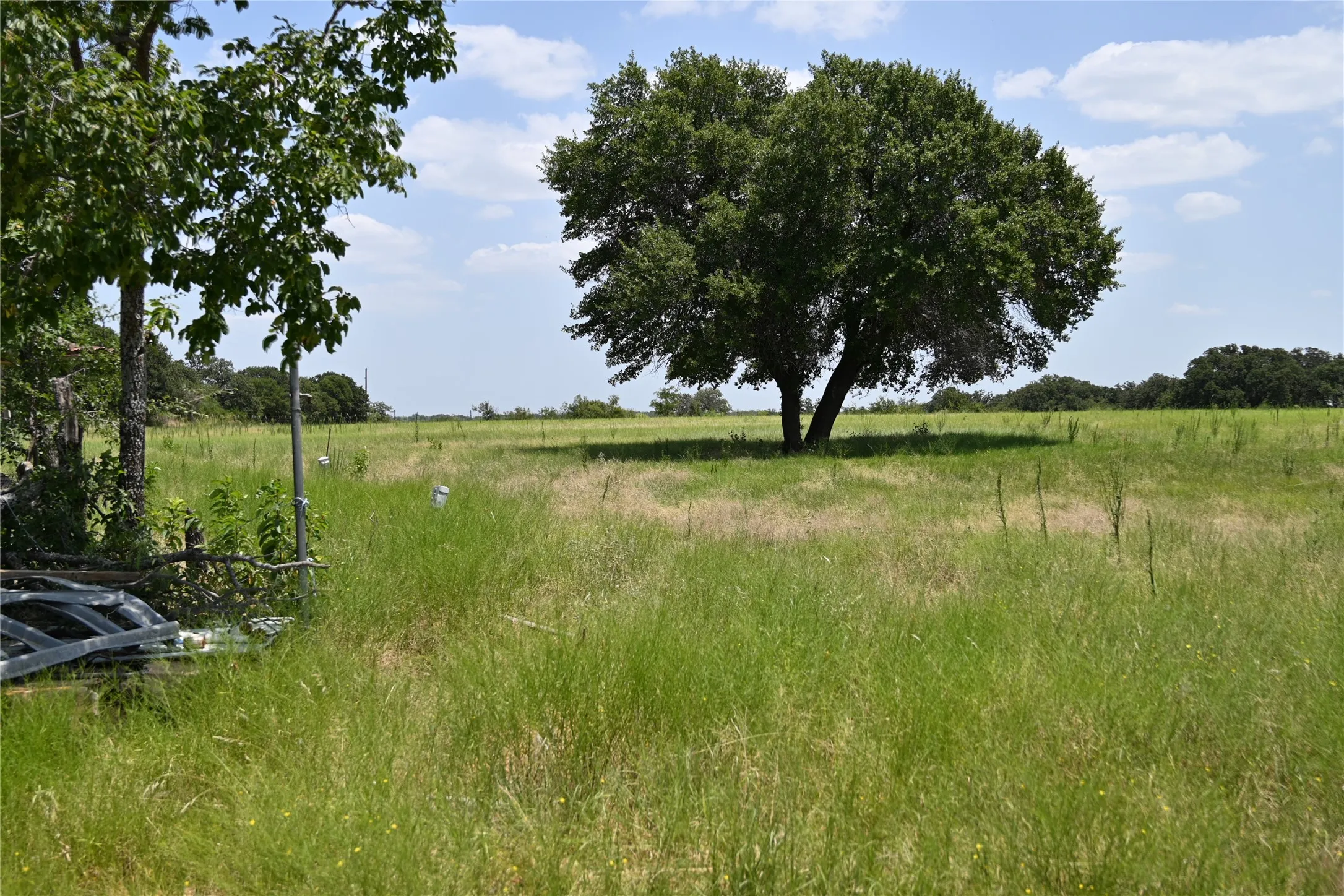Ranch For Sale in Comanche County , 54 Acres TBD CR 195, Gorman, Texas 76454, 0, 0, Garage spaces, 0 Sqft, built in 0, mls#21341507, Real Estate Agent in Gorman, Homes For Sale in Comanche county, Homes For Sale in Gorman, Realtor in Gorman Texas, Real Estate Brokerage Independent Realty Texas, Luminita Cordes Realtor