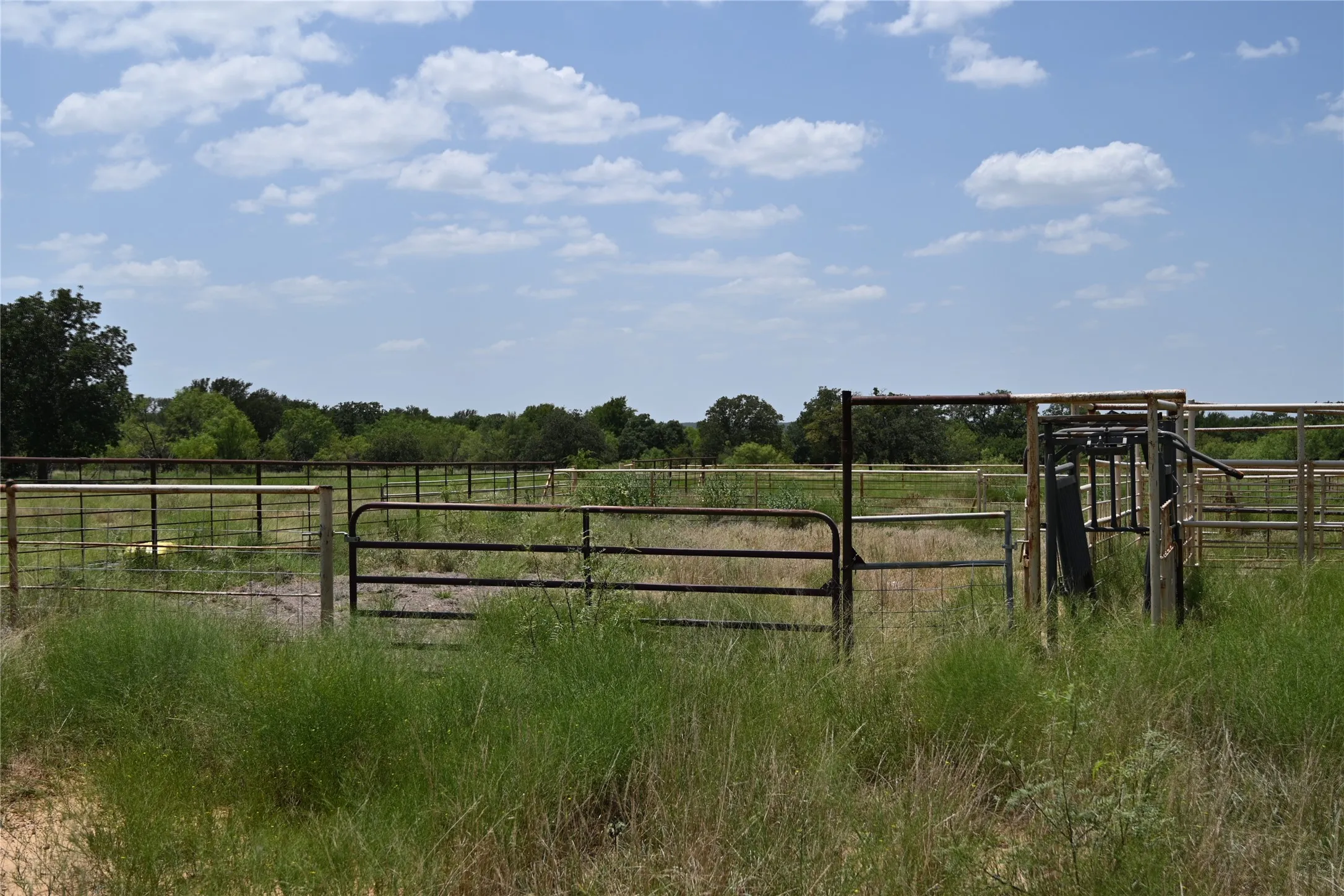 Ranch For Sale in Comanche County , 54 Acres TBD CR 195, Gorman, Texas 76454, 0, 0, Garage spaces, 0 Sqft, built in 0, mls#21341507, Real Estate Agent in Gorman, Homes For Sale in Comanche county, Homes For Sale in Gorman, Realtor in Gorman Texas, Real Estate Brokerage Independent Realty Texas, Luminita Cordes Realtor