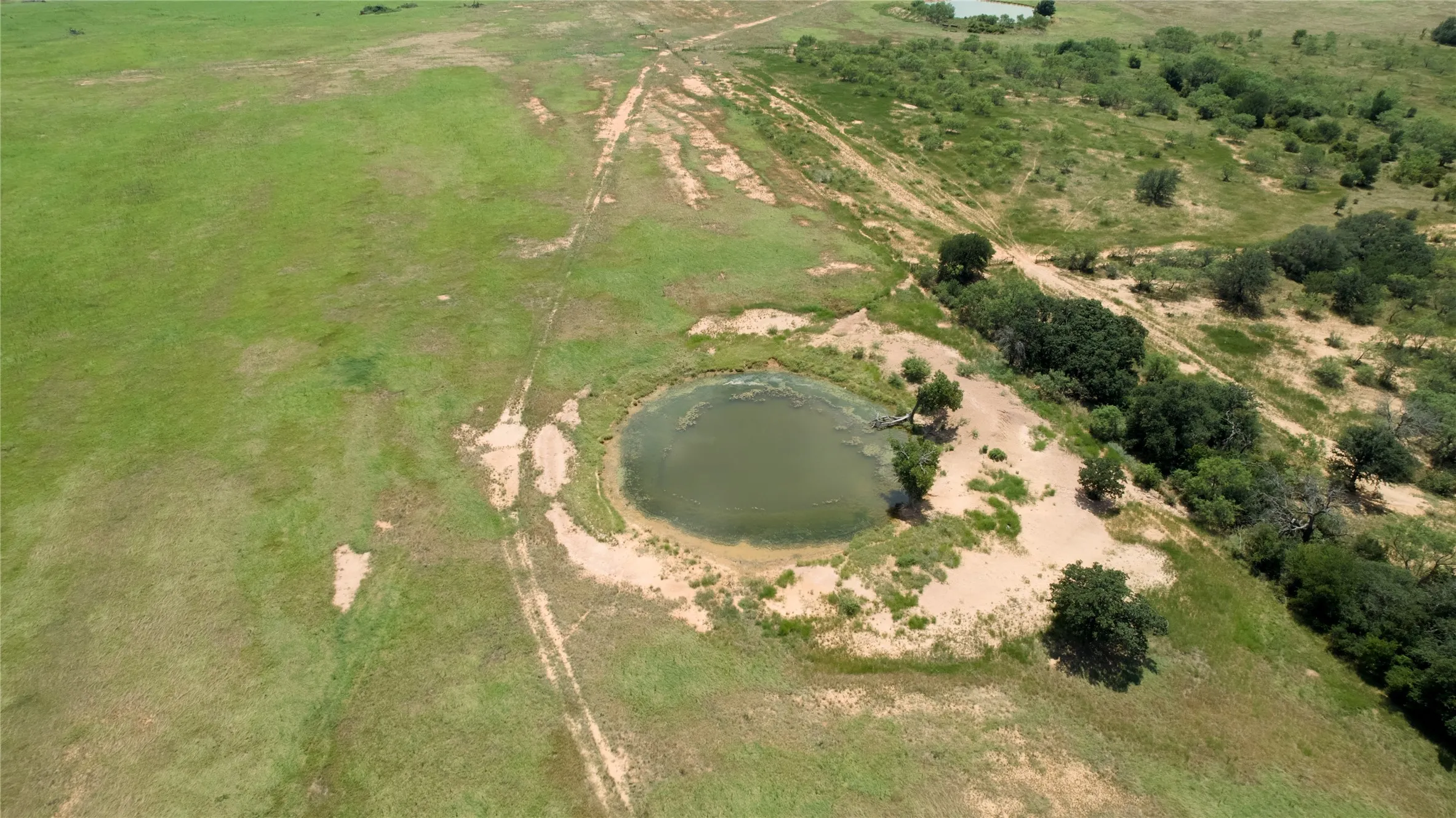Ranch For Sale in Comanche County , 54 Acres TBD CR 195, Gorman, Texas 76454, 0, 0, Garage spaces, 0 Sqft, built in 0, mls#21341507, Real Estate Agent in Gorman, Homes For Sale in Comanche county, Homes For Sale in Gorman, Realtor in Gorman Texas, Real Estate Brokerage Independent Realty Texas, Luminita Cordes Realtor