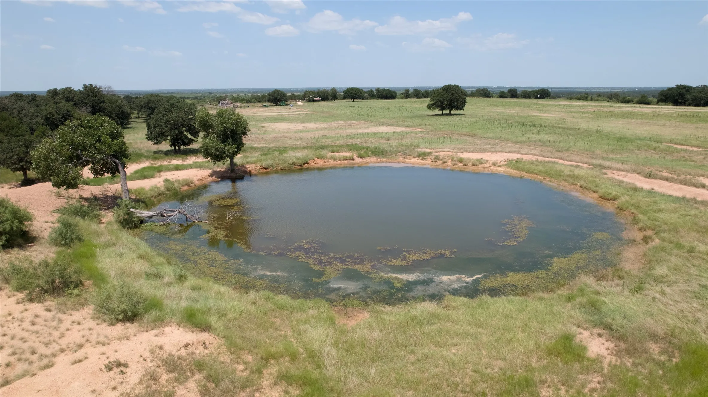 Ranch For Sale in Comanche County , 54 Acres TBD CR 195, Gorman, Texas 76454, 0, 0, Garage spaces, 0 Sqft, built in 0, mls#21341507, Real Estate Agent in Gorman, Homes For Sale in Comanche county, Homes For Sale in Gorman, Realtor in Gorman Texas, Real Estate Brokerage Independent Realty Texas, Luminita Cordes Realtor