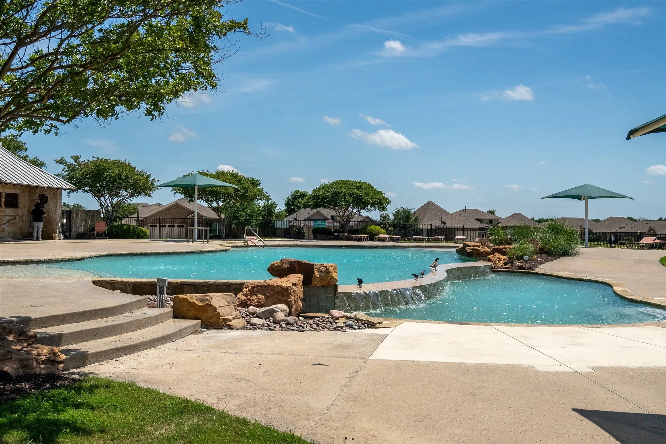 View of pool with a patio area and pool water feature