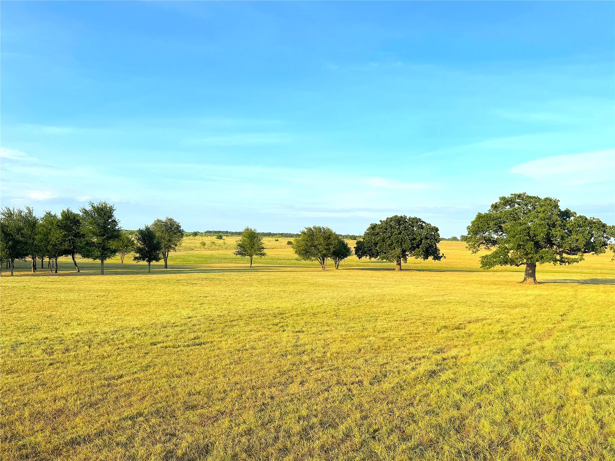 Ranch For Sale in Palo Pinto County , 10670 N Highway 281, Perrin, Texas 76486, 0, 0, Garage spaces, 0 Sqft, built in 0, Price $1,200,000, mls#21341534, Real Estate Agent in Perrin, Homes For Sale in Palo Pinto county, Homes For Sale in Perrin, Realtor in Perrin Texas, Real Estate Brokerage Independent Realty Texas, Luminita Cordes Realtor