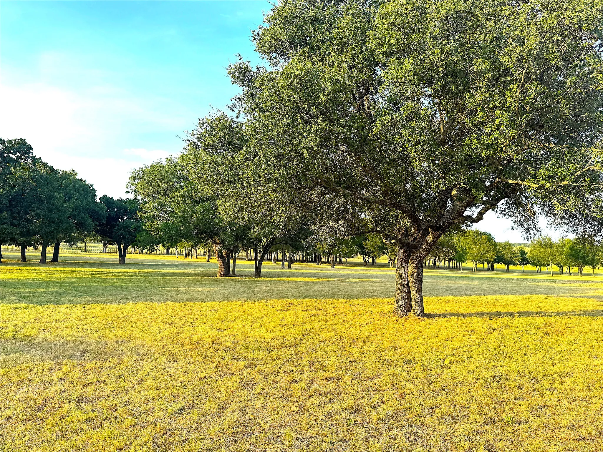Ranch For Sale in Palo Pinto County , 10670 N Highway 281, Perrin, Texas 76486, 0, 0, Garage spaces, 0 Sqft, built in 0, Price $1,200,000, mls#21341534, Real Estate Agent in Perrin, Homes For Sale in Palo Pinto county, Homes For Sale in Perrin, Realtor in Perrin Texas, Real Estate Brokerage Independent Realty Texas, Luminita Cordes Realtor