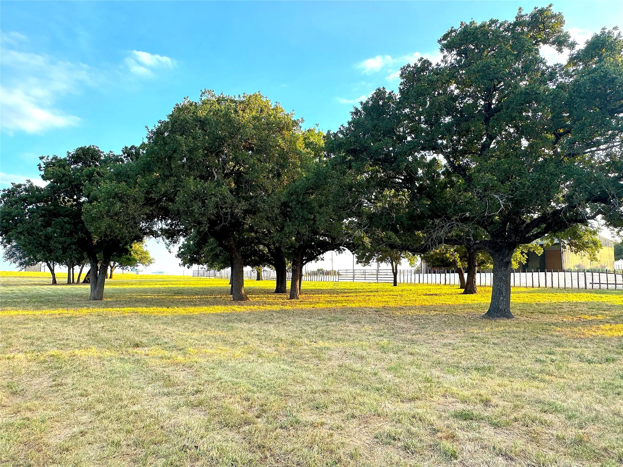 Ranch For Sale in Palo Pinto County , 10670 N Highway 281, Perrin, Texas 76486, 0, 0, Garage spaces, 0 Sqft, built in 0, Price $1,200,000, mls#21341534, Real Estate Agent in Perrin, Homes For Sale in Palo Pinto county, Homes For Sale in Perrin, Realtor in Perrin Texas, Real Estate Brokerage Independent Realty Texas, Luminita Cordes Realtor