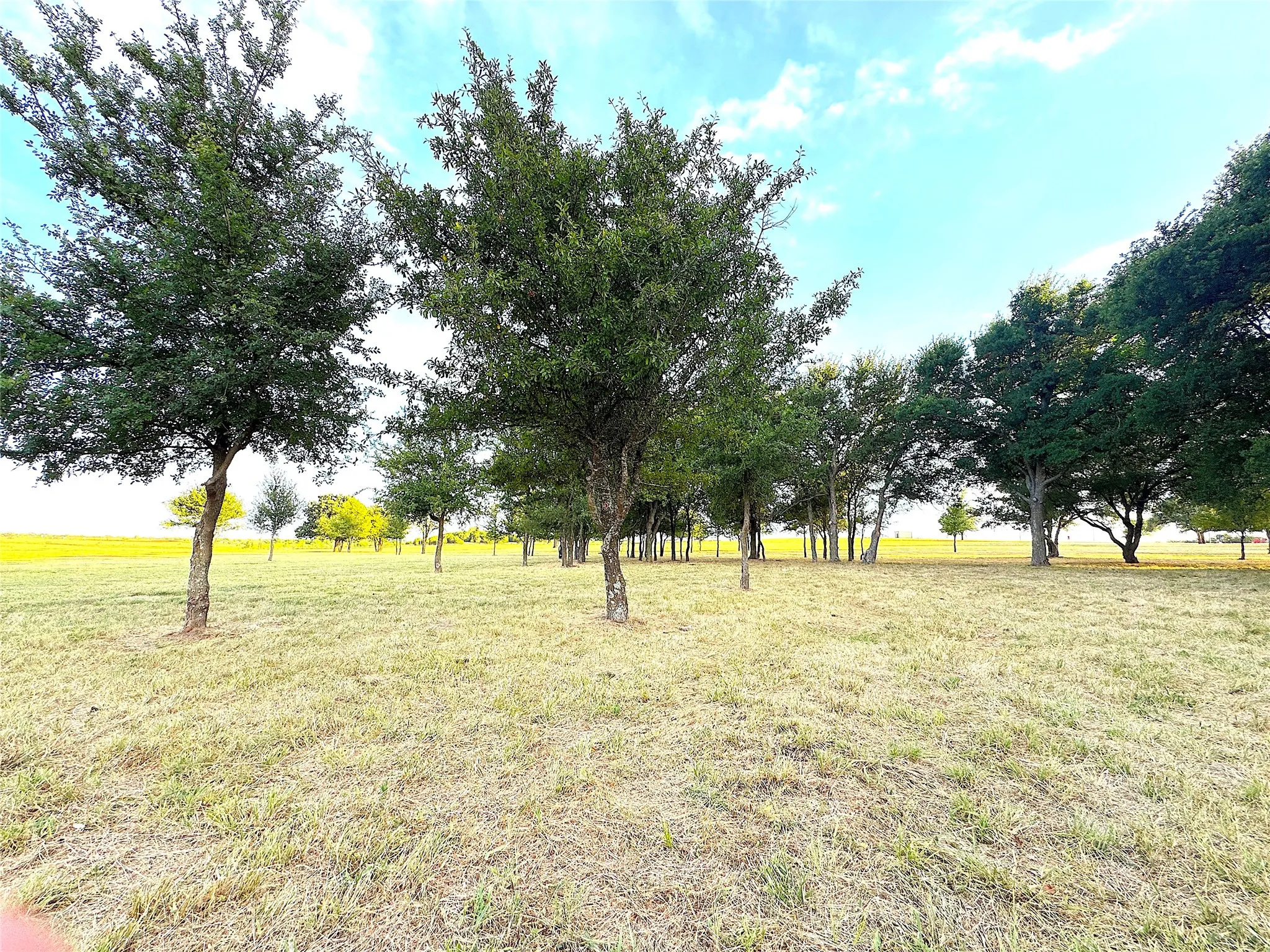 Ranch For Sale in Palo Pinto County , 10670 N Highway 281, Perrin, Texas 76486, 0, 0, Garage spaces, 0 Sqft, built in 0, Price $1,200,000, mls#21341534, Real Estate Agent in Perrin, Homes For Sale in Palo Pinto county, Homes For Sale in Perrin, Realtor in Perrin Texas, Real Estate Brokerage Independent Realty Texas, Luminita Cordes Realtor