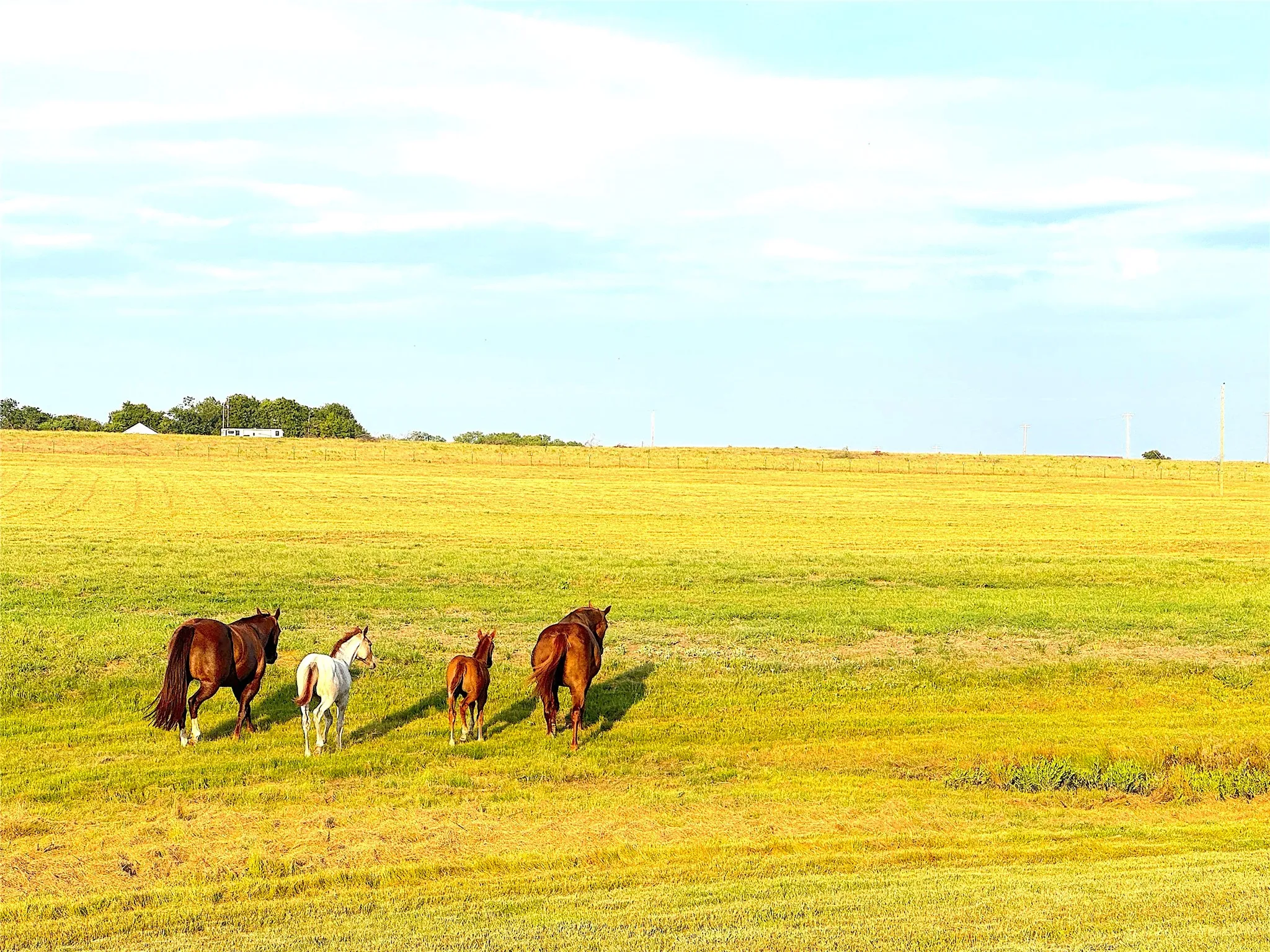 Ranch For Sale in Palo Pinto County , 10670 N Highway 281, Perrin, Texas 76486, 0, 0, Garage spaces, 0 Sqft, built in 0, Price $1,200,000, mls#21341534, Real Estate Agent in Perrin, Homes For Sale in Palo Pinto county, Homes For Sale in Perrin, Realtor in Perrin Texas, Real Estate Brokerage Independent Realty Texas, Luminita Cordes Realtor