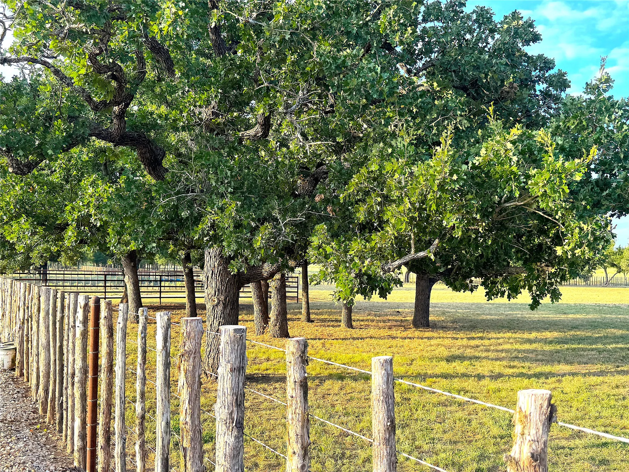 Ranch For Sale in Palo Pinto County , 10670 N Highway 281, Perrin, Texas 76486, 0, 0, Garage spaces, 0 Sqft, built in 0, Price $1,200,000, mls#21341534, Real Estate Agent in Perrin, Homes For Sale in Palo Pinto county, Homes For Sale in Perrin, Realtor in Perrin Texas, Real Estate Brokerage Independent Realty Texas, Luminita Cordes Realtor