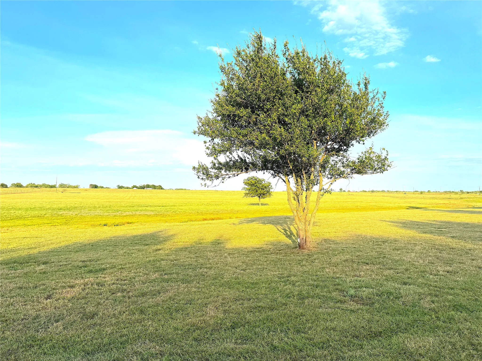 Ranch For Sale in Palo Pinto County , 10670 N Highway 281, Perrin, Texas 76486, 0, 0, Garage spaces, 0 Sqft, built in 0, Price $1,200,000, mls#21341534, Real Estate Agent in Perrin, Homes For Sale in Palo Pinto county, Homes For Sale in Perrin, Realtor in Perrin Texas, Real Estate Brokerage Independent Realty Texas, Luminita Cordes Realtor