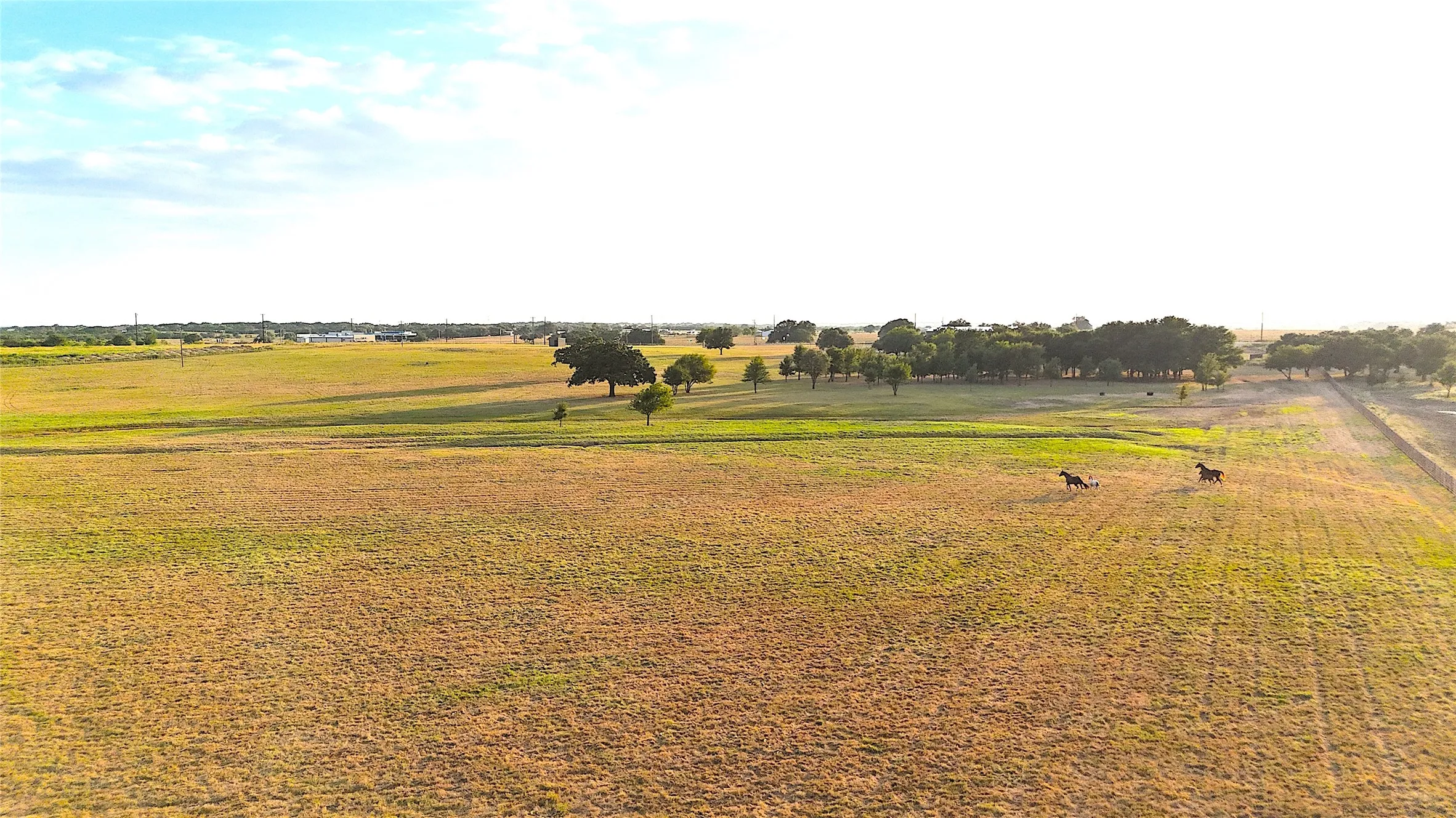 Ranch For Sale in Palo Pinto County , 10670 N Highway 281, Perrin, Texas 76486, 0, 0, Garage spaces, 0 Sqft, built in 0, Price $1,200,000, mls#21341534, Real Estate Agent in Perrin, Homes For Sale in Palo Pinto county, Homes For Sale in Perrin, Realtor in Perrin Texas, Real Estate Brokerage Independent Realty Texas, Luminita Cordes Realtor