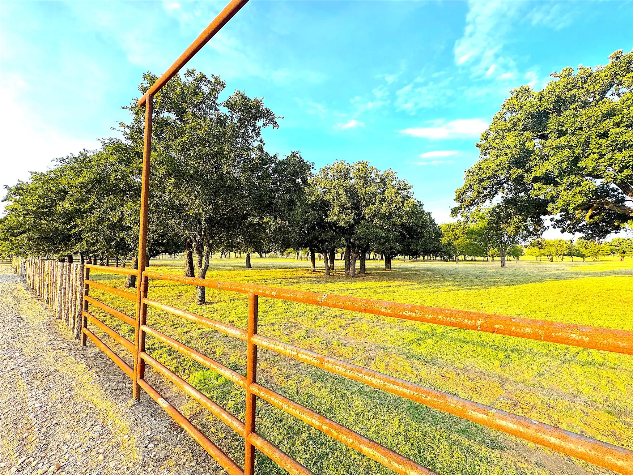 Ranch For Sale in Palo Pinto County , 10670 N Highway 281, Perrin, Texas 76486, 0, 0, Garage spaces, 0 Sqft, built in 0, Price $1,200,000, mls#21341534, Real Estate Agent in Perrin, Homes For Sale in Palo Pinto county, Homes For Sale in Perrin, Realtor in Perrin Texas, Real Estate Brokerage Independent Realty Texas, Luminita Cordes Realtor