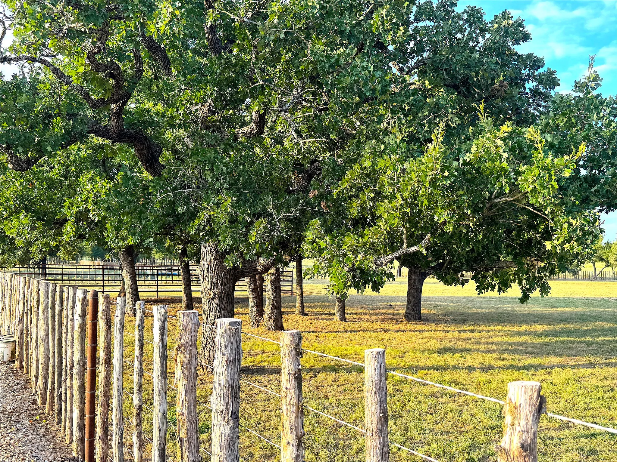 Ranch For Sale in Palo Pinto County , 10670 N Highway 281, Perrin, Texas 76486, 0, 0, Garage spaces, 0 Sqft, built in 0, Price $1,200,000, mls#21341534, Real Estate Agent in Perrin, Homes For Sale in Palo Pinto county, Homes For Sale in Perrin, Realtor in Perrin Texas, Real Estate Brokerage Independent Realty Texas, Luminita Cordes Realtor