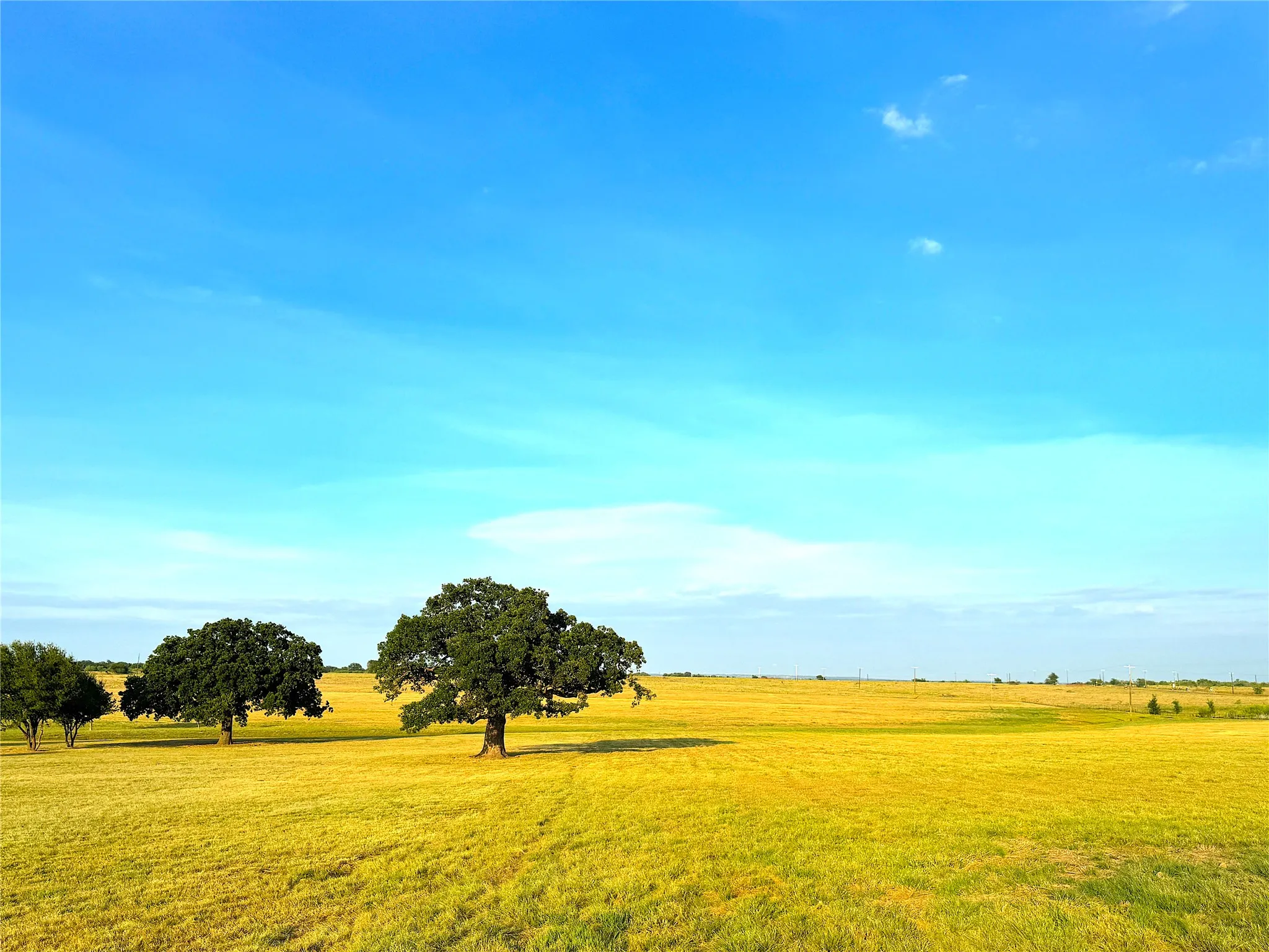 Ranch For Sale in Palo Pinto County , 10670 N Highway 281, Perrin, Texas 76486, 0, 0, Garage spaces, 0 Sqft, built in 0, Price $1,200,000, mls#21341534, Real Estate Agent in Perrin, Homes For Sale in Palo Pinto county, Homes For Sale in Perrin, Realtor in Perrin Texas, Real Estate Brokerage Independent Realty Texas, Luminita Cordes Realtor