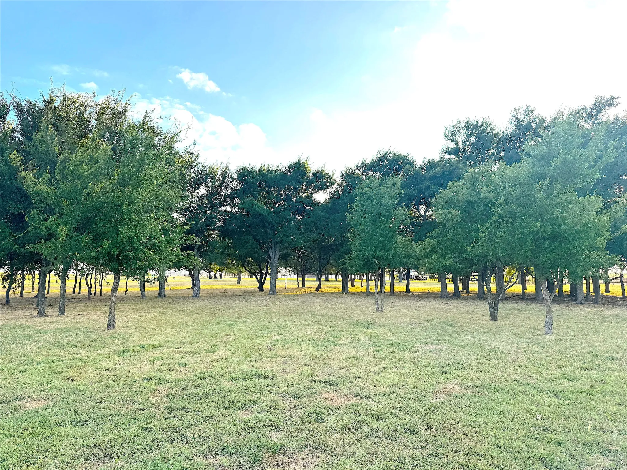 Ranch For Sale in Palo Pinto County , 10670 N Highway 281, Perrin, Texas 76486, 0, 0, Garage spaces, 0 Sqft, built in 0, Price $1,200,000, mls#21341534, Real Estate Agent in Perrin, Homes For Sale in Palo Pinto county, Homes For Sale in Perrin, Realtor in Perrin Texas, Real Estate Brokerage Independent Realty Texas, Luminita Cordes Realtor