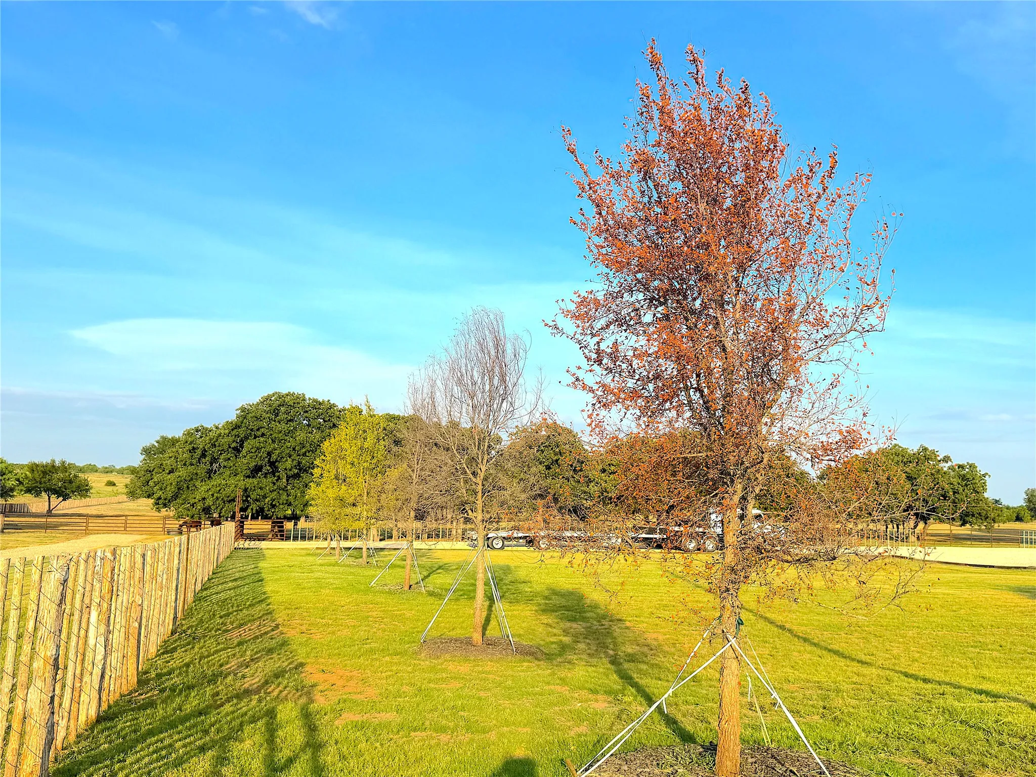 Ranch For Sale in Palo Pinto County , 10670 N Highway 281, Perrin, Texas 76486, 0, 0, Garage spaces, 0 Sqft, built in 0, Price $1,200,000, mls#21341534, Real Estate Agent in Perrin, Homes For Sale in Palo Pinto county, Homes For Sale in Perrin, Realtor in Perrin Texas, Real Estate Brokerage Independent Realty Texas, Luminita Cordes Realtor