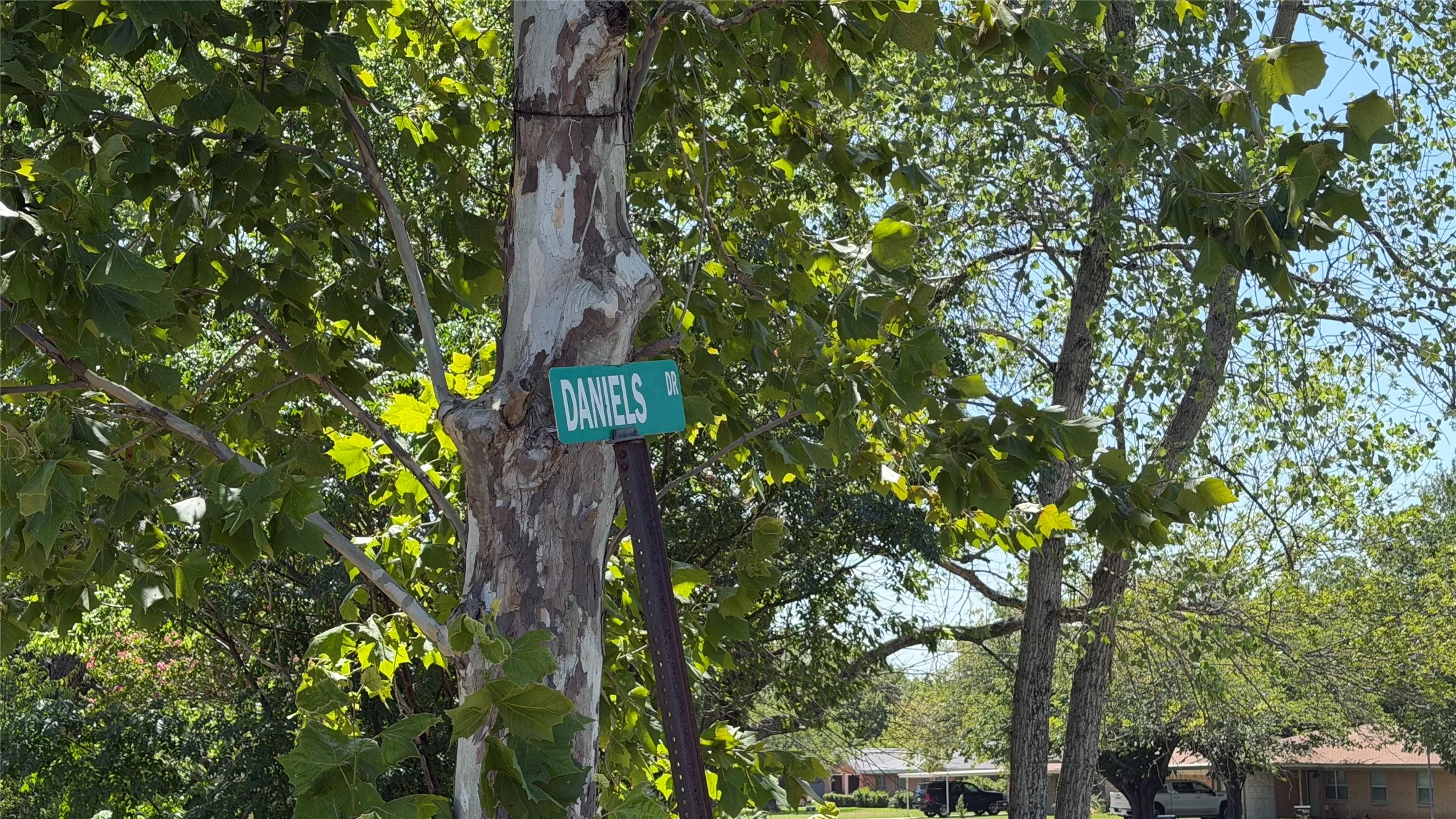 Unimproved Land For Sale in Navarro County , TBS Daniel Drive, Kerens, Texas 75144, 0, 0, Garage spaces, 0 Sqft, built in 0, mls#21341558, Real Estate Agent in Kerens, Homes For Sale in Navarro county, Homes For Sale in Kerens, Realtor in Kerens Texas, Real Estate Brokerage Independent Realty Texas, Luminita Cordes Realtor