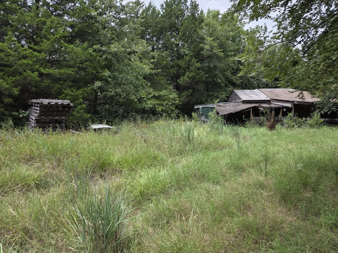 Mobile Home For Sale in Grayson County , 126 Tipps Road, Whitesboro, Texas 76273, 4 Bedroom, 2 Bathroom, Garage spaces, 1,280 Sqft, built in 2015, mls#21341578, Real Estate Agent in Whitesboro, Homes For Sale in Grayson county, Homes For Sale in Whitesboro, Realtor in Whitesboro Texas, Real Estate Brokerage Independent Realty Texas, Luminita Cordes Realtor