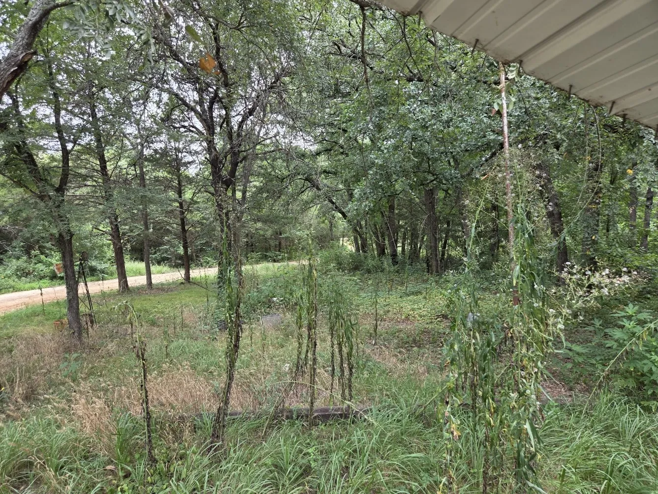 Mobile Home For Sale in Grayson County , 126 Tipps Road, Whitesboro, Texas 76273, 4 Bedroom, 2 Bathroom, Garage spaces, 1,280 Sqft, built in 2015, mls#21341578, Real Estate Agent in Whitesboro, Homes For Sale in Grayson county, Homes For Sale in Whitesboro, Realtor in Whitesboro Texas, Real Estate Brokerage Independent Realty Texas, Luminita Cordes Realtor