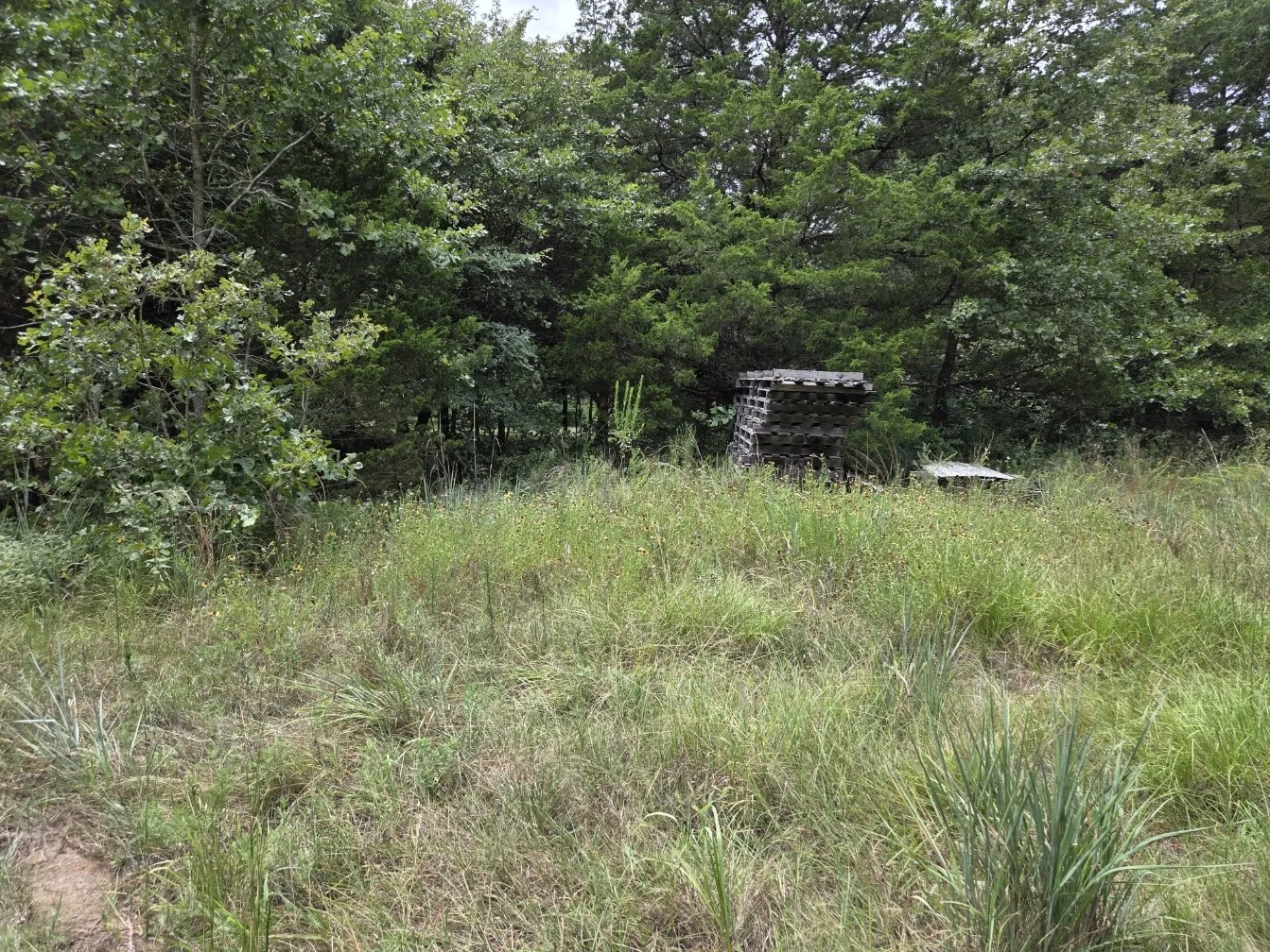 Mobile Home For Sale in Grayson County , 126 Tipps Road, Whitesboro, Texas 76273, 4 Bedroom, 2 Bathroom, Garage spaces, 1,280 Sqft, built in 2015, mls#21341578, Real Estate Agent in Whitesboro, Homes For Sale in Grayson county, Homes For Sale in Whitesboro, Realtor in Whitesboro Texas, Real Estate Brokerage Independent Realty Texas, Luminita Cordes Realtor