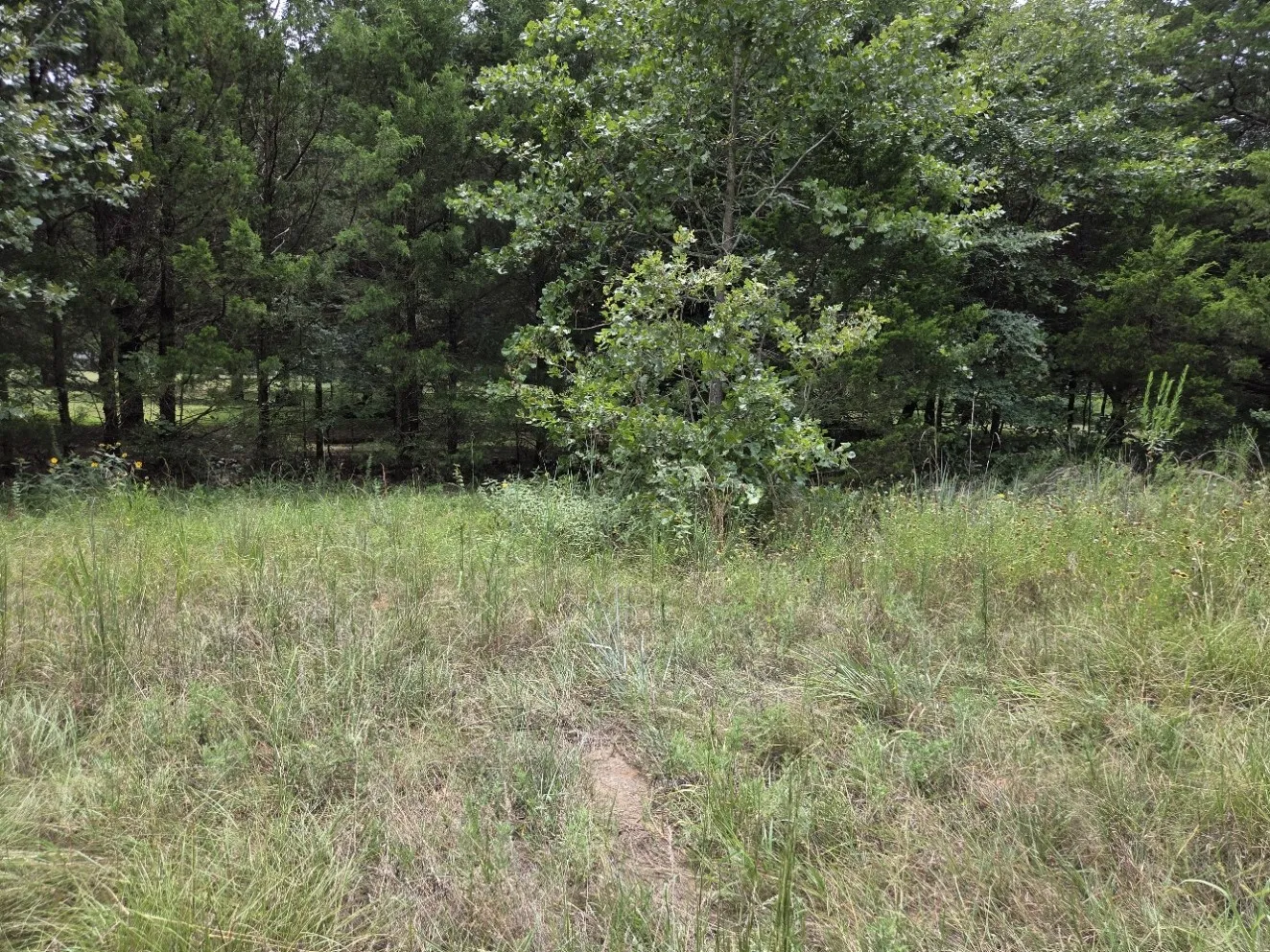 Mobile Home For Sale in Grayson County , 126 Tipps Road, Whitesboro, Texas 76273, 4 Bedroom, 2 Bathroom, Garage spaces, 1,280 Sqft, built in 2015, mls#21341578, Real Estate Agent in Whitesboro, Homes For Sale in Grayson county, Homes For Sale in Whitesboro, Realtor in Whitesboro Texas, Real Estate Brokerage Independent Realty Texas, Luminita Cordes Realtor