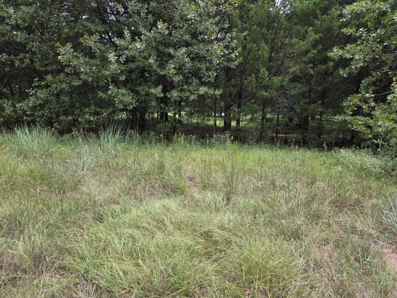Mobile Home For Sale in Grayson County , 126 Tipps Road, Whitesboro, Texas 76273, 4 Bedroom, 2 Bathroom, Garage spaces, 1,280 Sqft, built in 2015, mls#21341578, Real Estate Agent in Whitesboro, Homes For Sale in Grayson county, Homes For Sale in Whitesboro, Realtor in Whitesboro Texas, Real Estate Brokerage Independent Realty Texas, Luminita Cordes Realtor