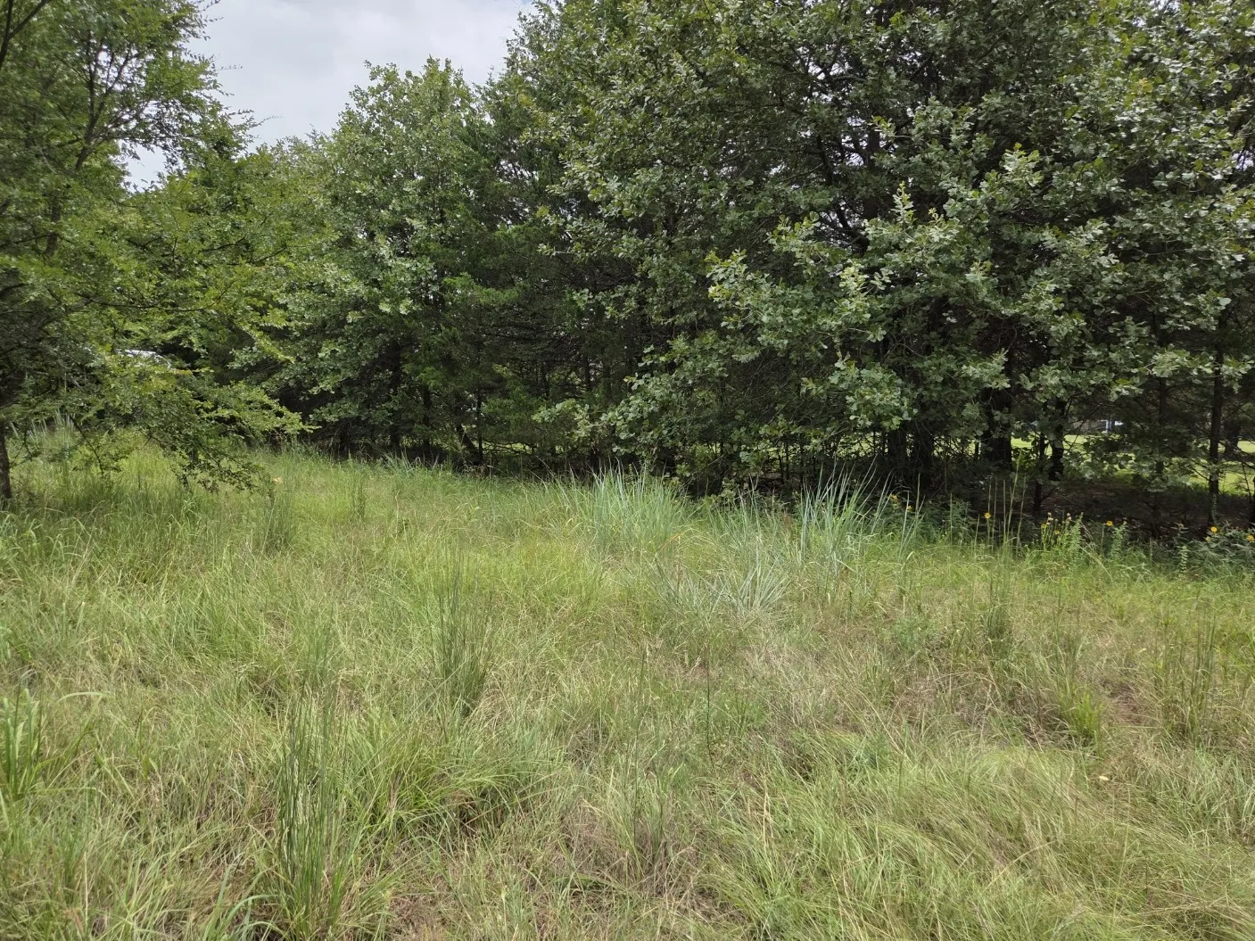 Mobile Home For Sale in Grayson County , 126 Tipps Road, Whitesboro, Texas 76273, 4 Bedroom, 2 Bathroom, Garage spaces, 1,280 Sqft, built in 2015, mls#21341578, Real Estate Agent in Whitesboro, Homes For Sale in Grayson county, Homes For Sale in Whitesboro, Realtor in Whitesboro Texas, Real Estate Brokerage Independent Realty Texas, Luminita Cordes Realtor