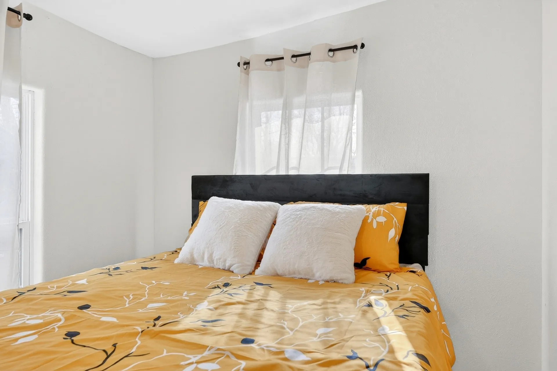 Bright room featuring white walls, a black headboard, and two windows with curtain rods