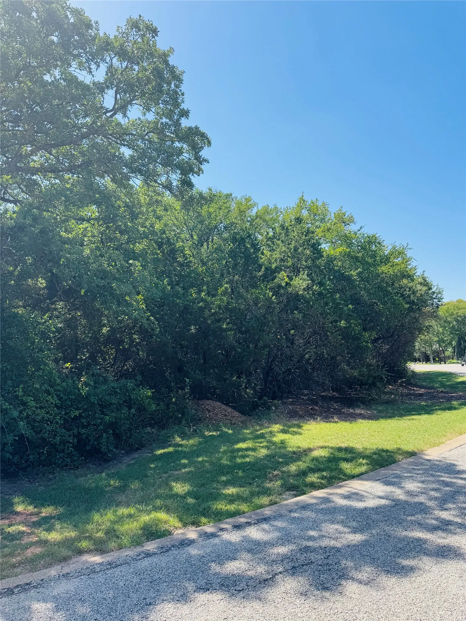 Unimproved Land For Sale in Hill County , 24019 Wood Hollow Drive, Whitney, Texas 76692, 0, 0, Garage spaces, 0 Sqft, built in 0, mls#21341642, Real Estate Agent in Whitney, Homes For Sale in Hill county, Homes For Sale in Whitney, Realtor in Whitney Texas, Real Estate Brokerage Independent Realty Texas, Luminita Cordes Realtor