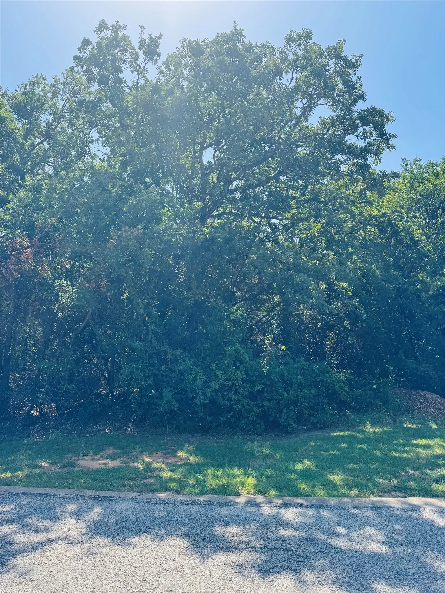 Unimproved Land For Sale in Hill County , 24019 Wood Hollow Drive, Whitney, Texas 76692, 0, 0, Garage spaces, 0 Sqft, built in 0, mls#21341642, Real Estate Agent in Whitney, Homes For Sale in Hill county, Homes For Sale in Whitney, Realtor in Whitney Texas, Real Estate Brokerage Independent Realty Texas, Luminita Cordes Realtor