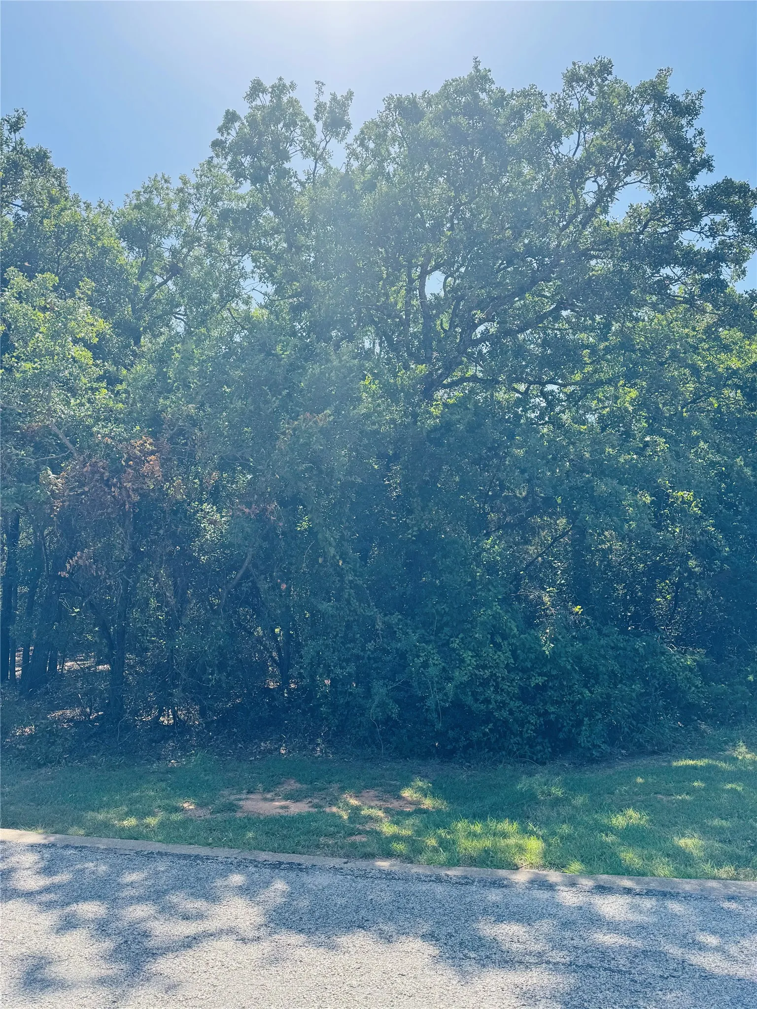 Unimproved Land For Sale in Hill County , 24019 Wood Hollow Drive, Whitney, Texas 76692, 0, 0, Garage spaces, 0 Sqft, built in 0, mls#21341642, Real Estate Agent in Whitney, Homes For Sale in Hill county, Homes For Sale in Whitney, Realtor in Whitney Texas, Real Estate Brokerage Independent Realty Texas, Luminita Cordes Realtor