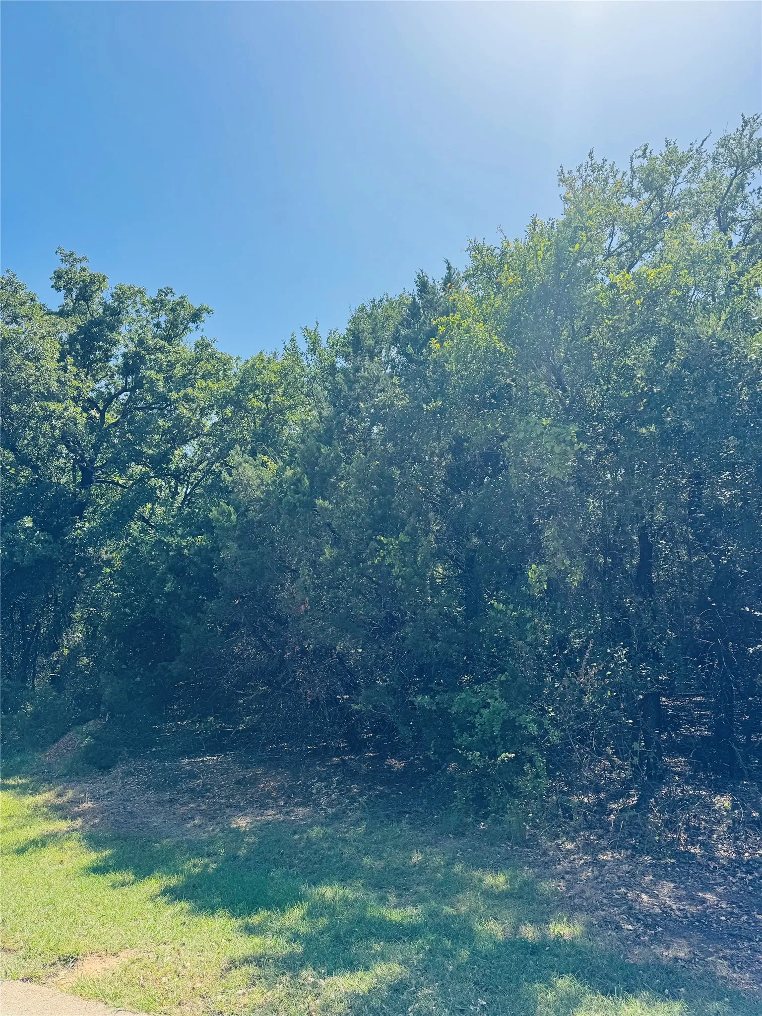 Unimproved Land For Sale in Hill County , 24019 Wood Hollow Drive, Whitney, Texas 76692, 0, 0, Garage spaces, 0 Sqft, built in 0, mls#21341642, Real Estate Agent in Whitney, Homes For Sale in Hill county, Homes For Sale in Whitney, Realtor in Whitney Texas, Real Estate Brokerage Independent Realty Texas, Luminita Cordes Realtor
