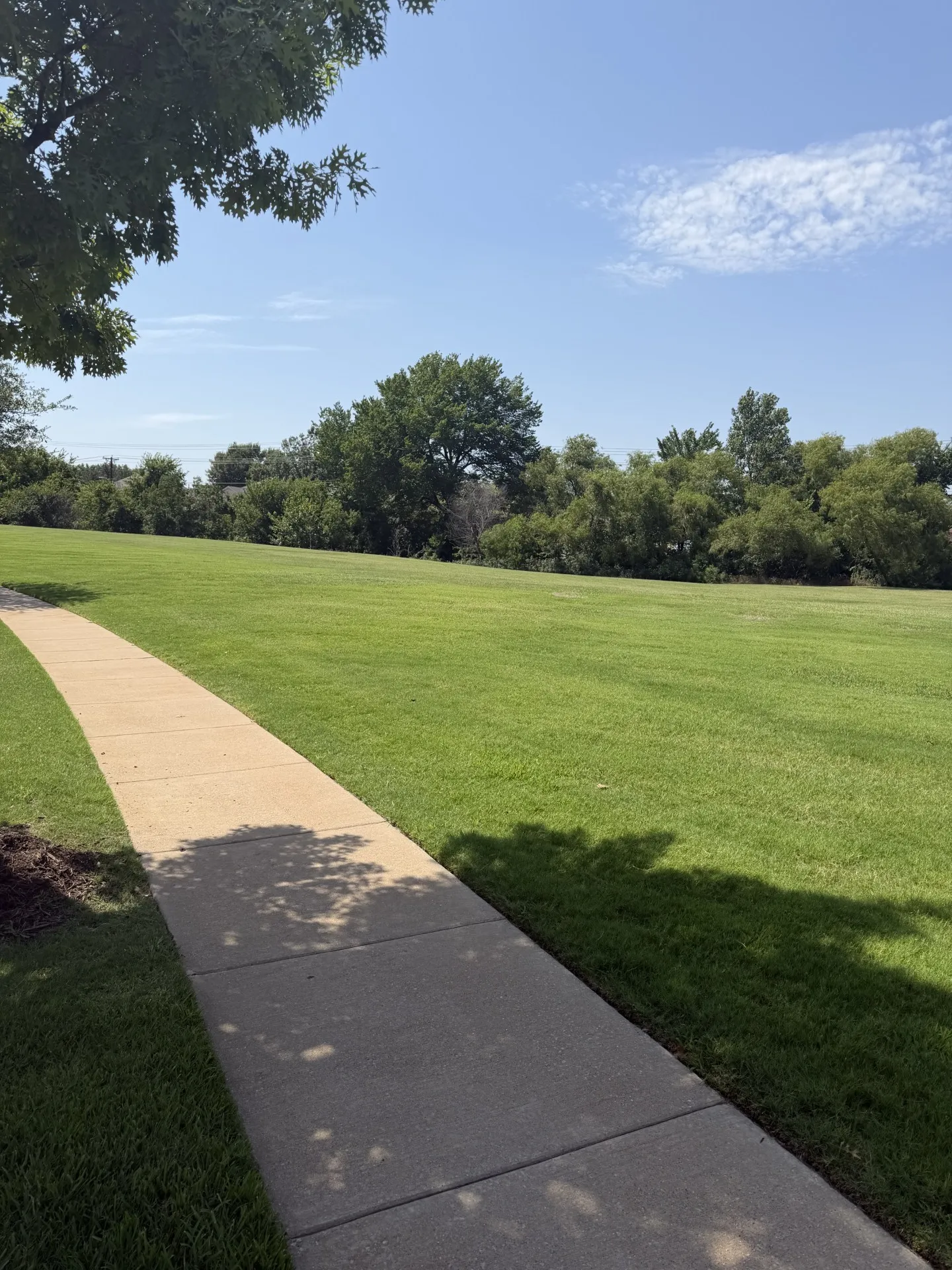 Single Family Residence For Sale in Tarrant County , 2310 Castle Creek Drive, Mansfield, Texas 76063, 4 Bedroom, 4 Bathroom, 3 Garage spaces, 3,738 Sqft, built in 2005, mls#21341057, Real Estate Agent in Mansfield, Homes For Sale in Tarrant county, Homes For Sale in Mansfield, Realtor in Mansfield Texas, Real Estate Brokerage Independent Realty Texas, Luminita Cordes Realtor