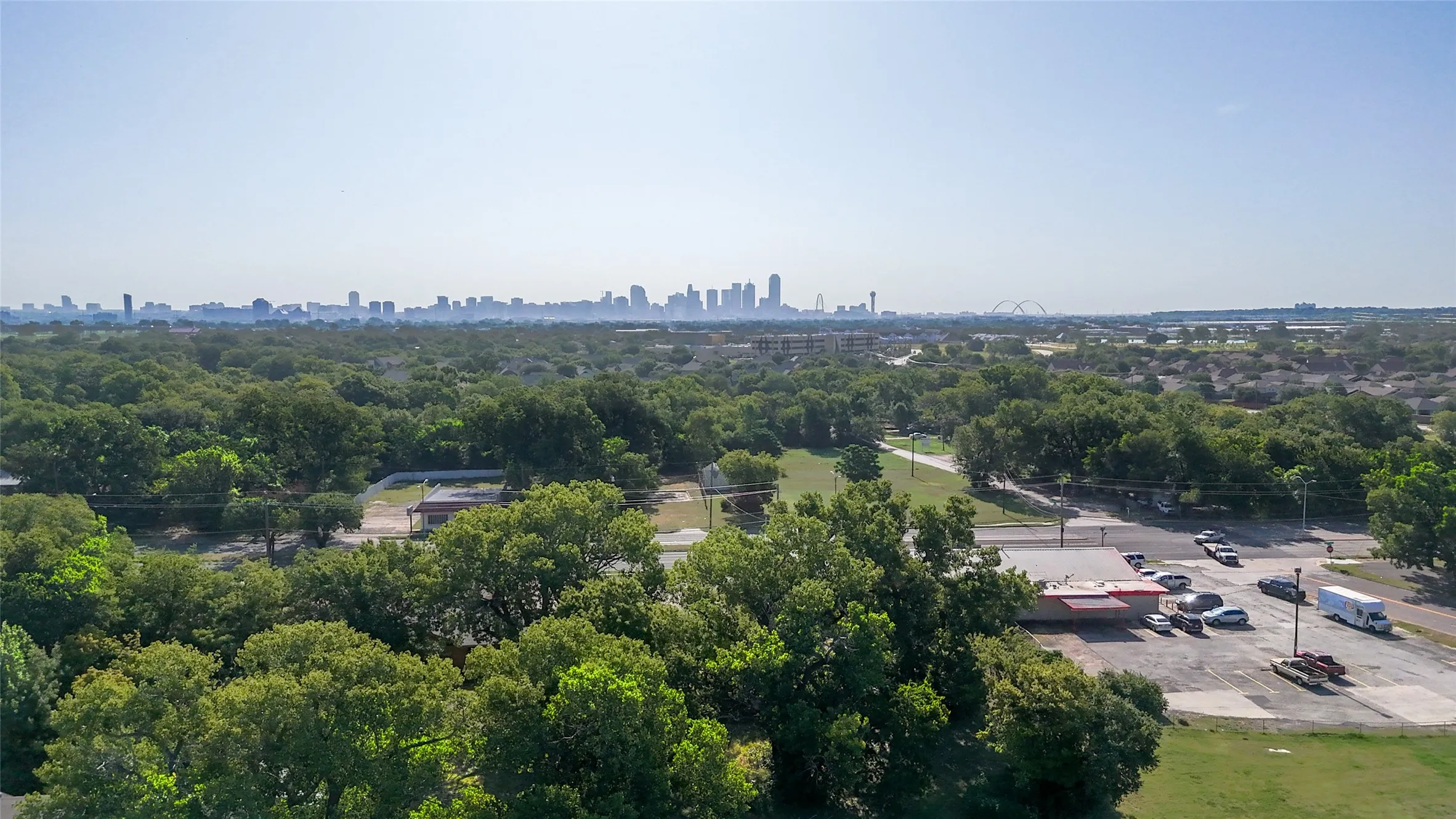 Expansive tree canopy with a distant city skyline visible on the horizon