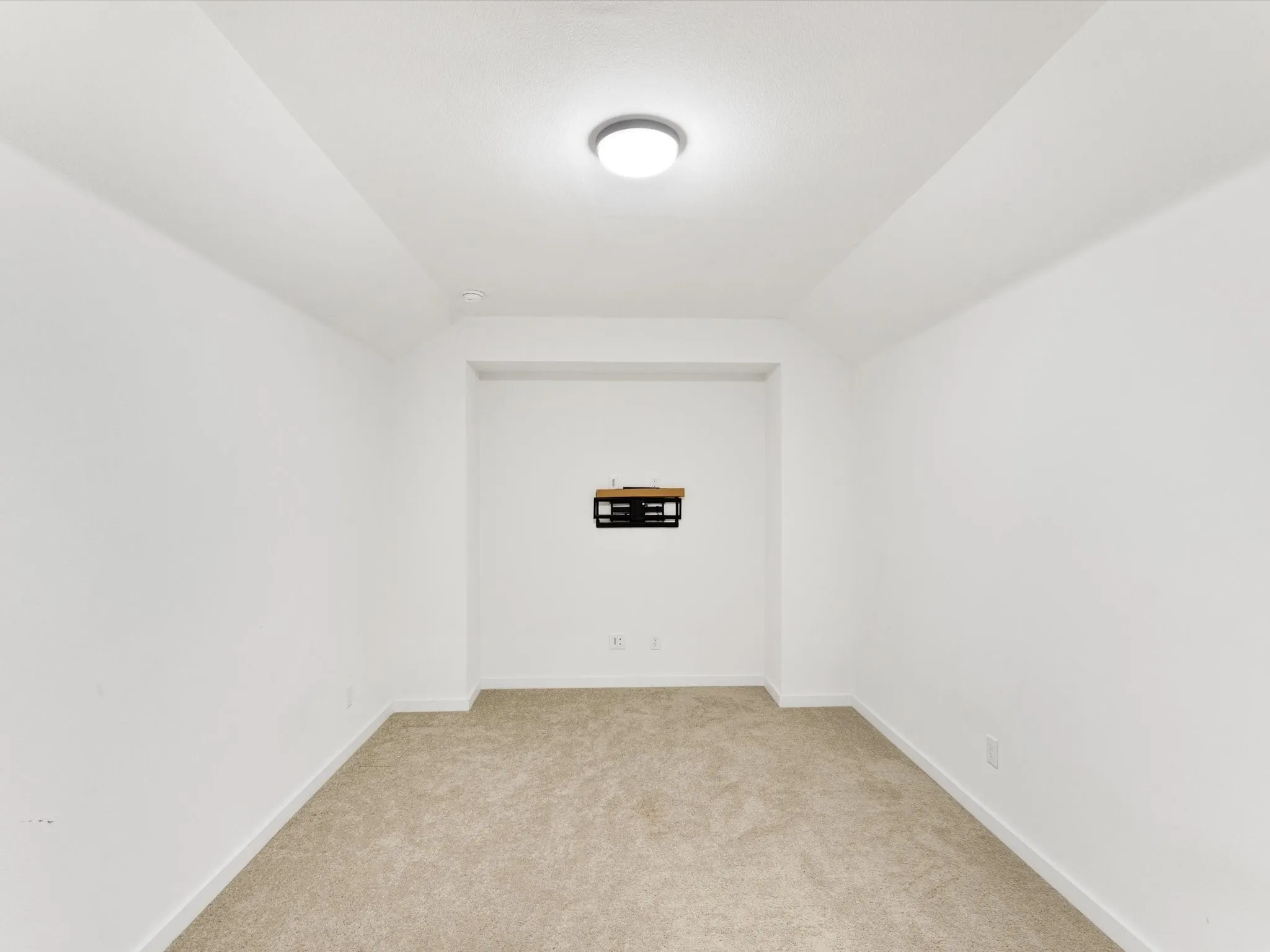 Dedicated media room featuring a flush mount ceiling light, carpet flooring, and wall-mounted display space