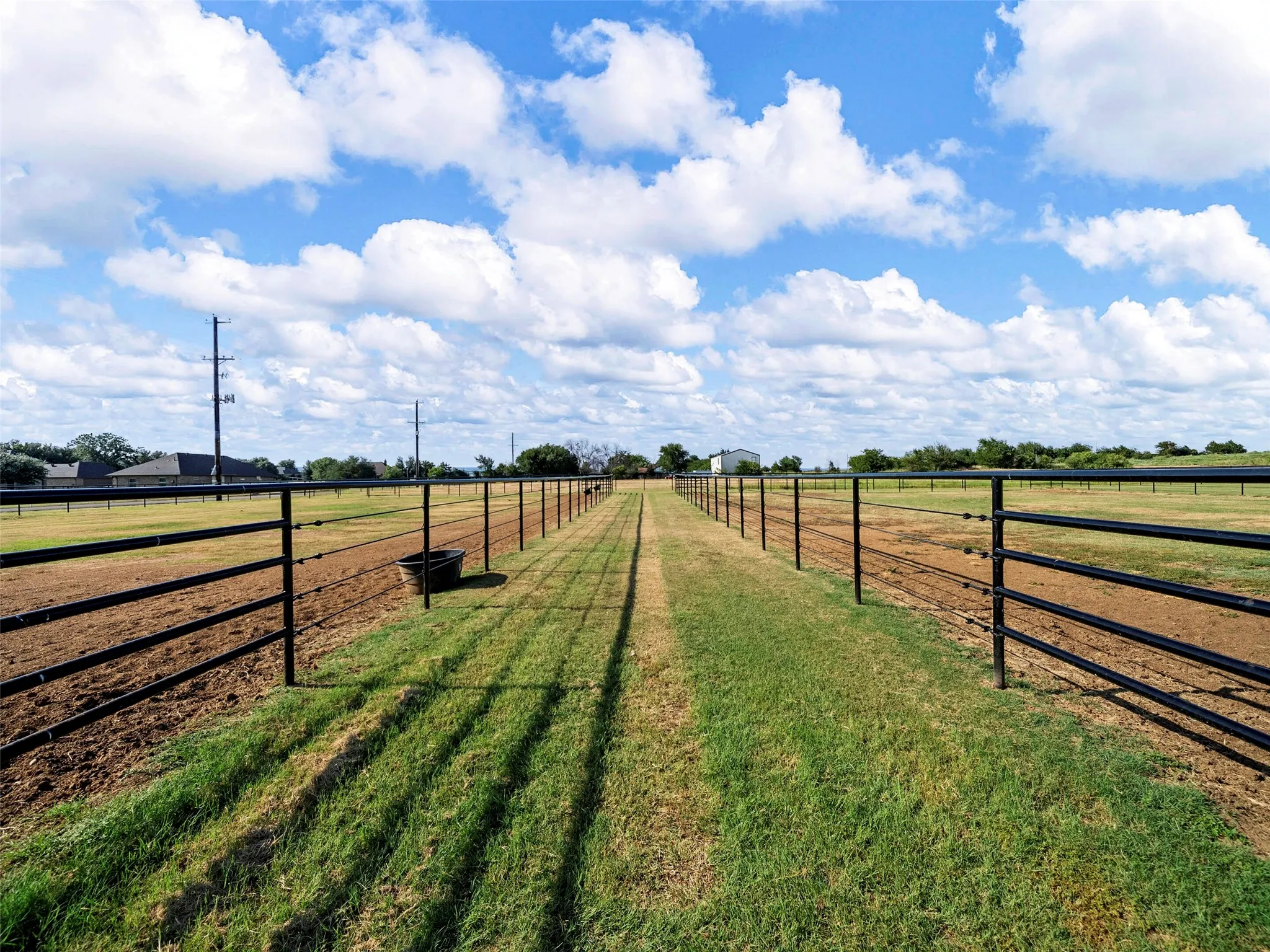 VIEW OF SEPARATE PADDOCKS