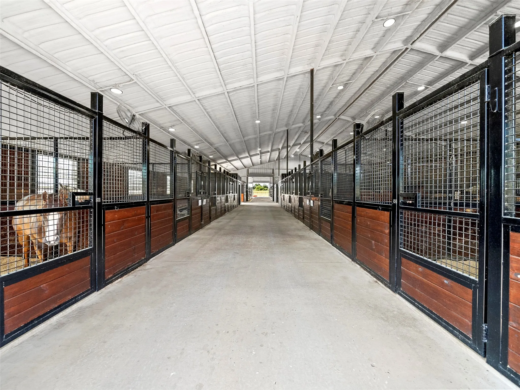 MAIN BARN INTERIOR...Auto Waterers, Corner Feeders, Stall Mats, Fly System, Wood/Welded Wire Stall Fronts