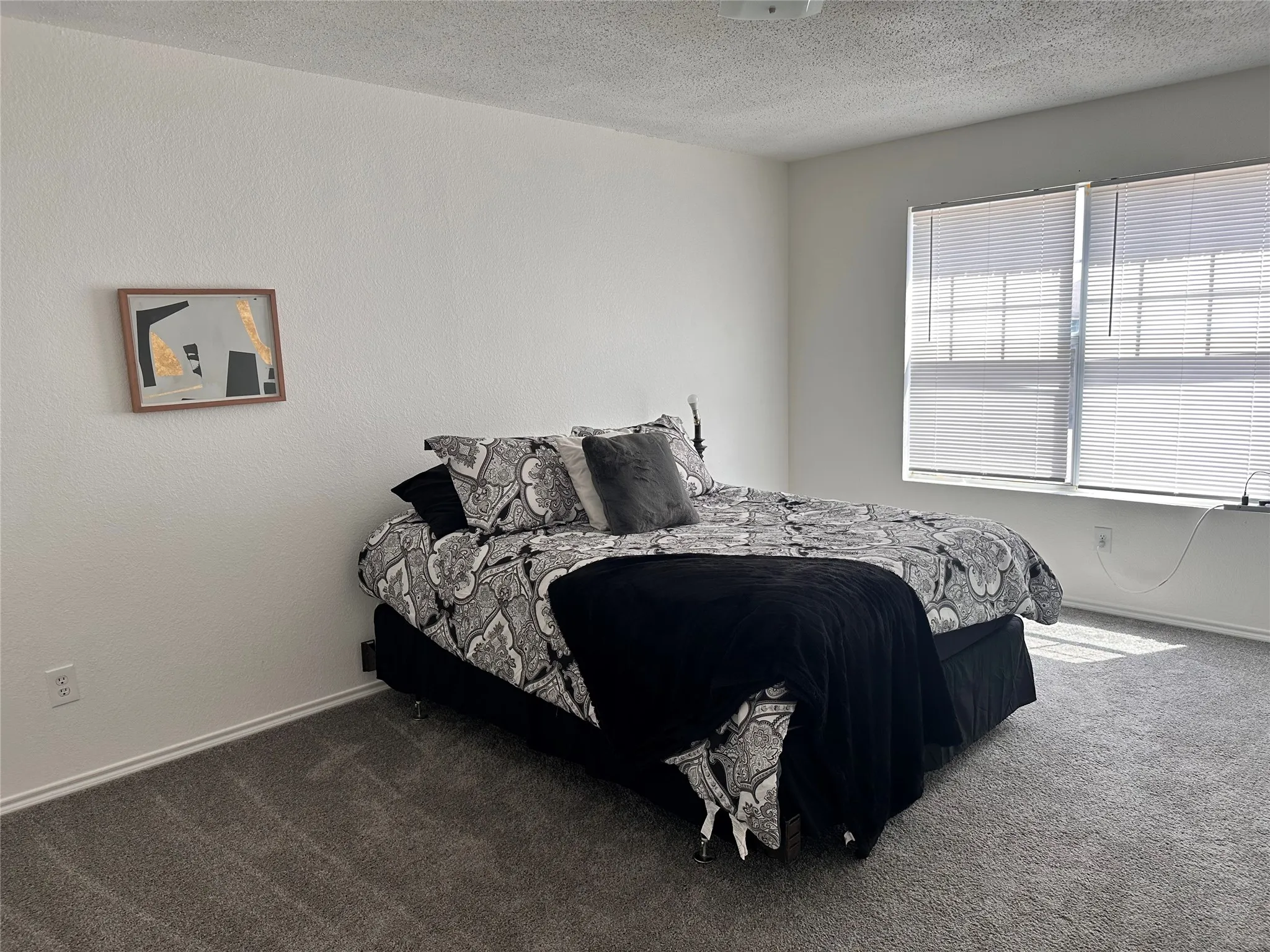 Textured white walls, gray carpeting, and large windows with horizontal blinds