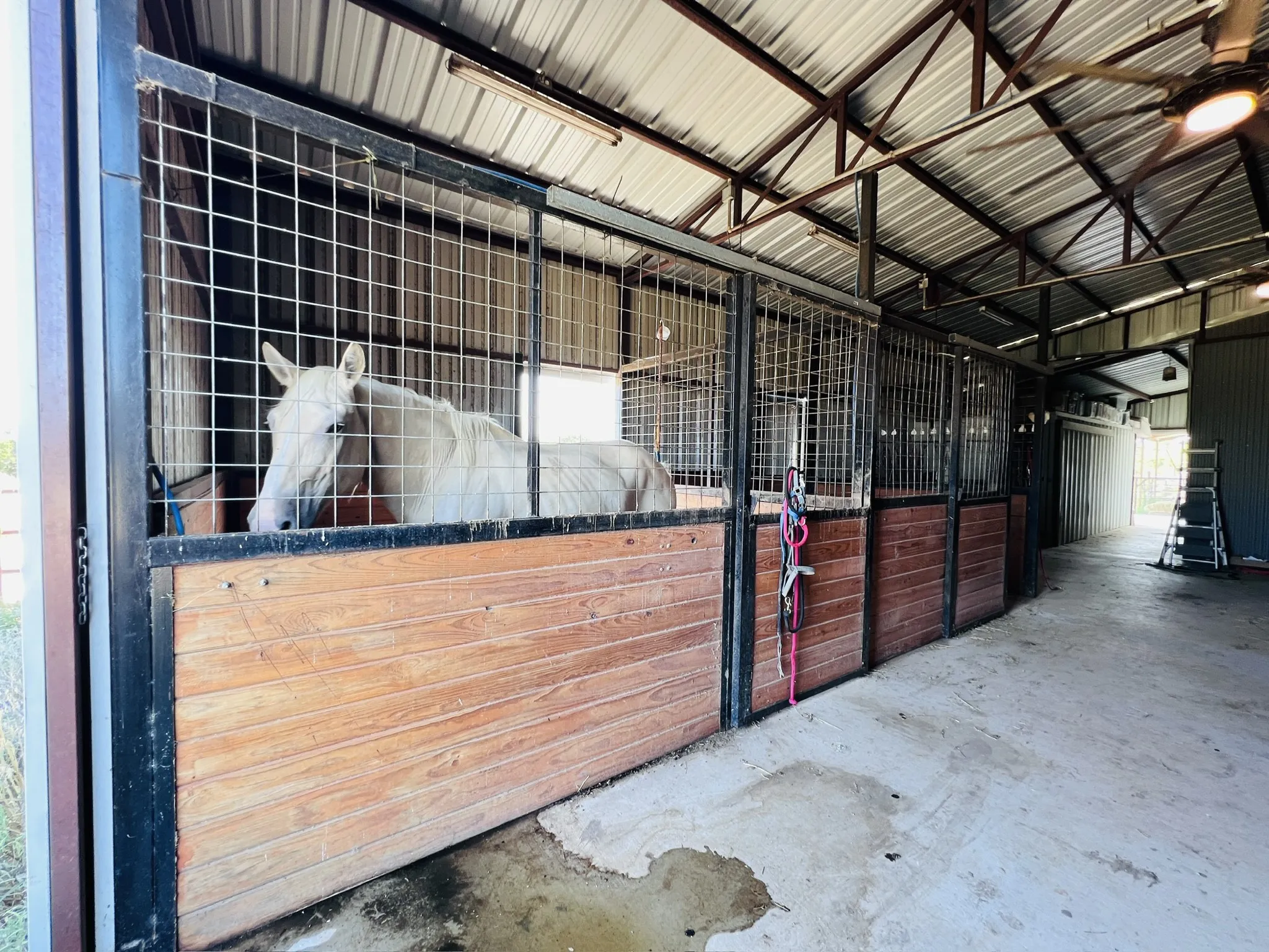 Barn interior featuring two box stalls with wood-finish lower panels and metal grates