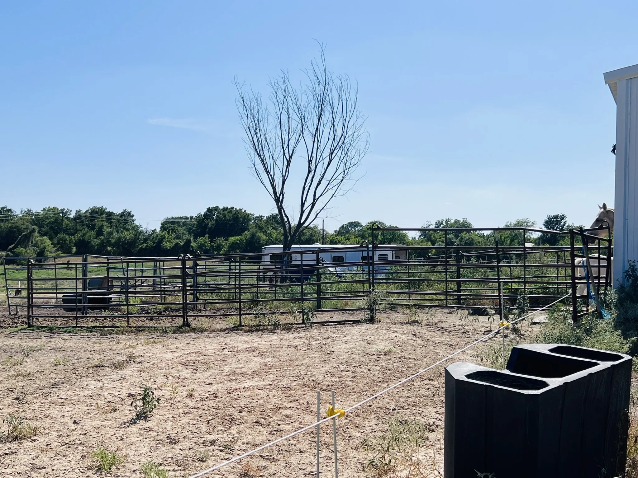 Fenced enclosure with metal paneling, featuring a mature tree and a distant treeline