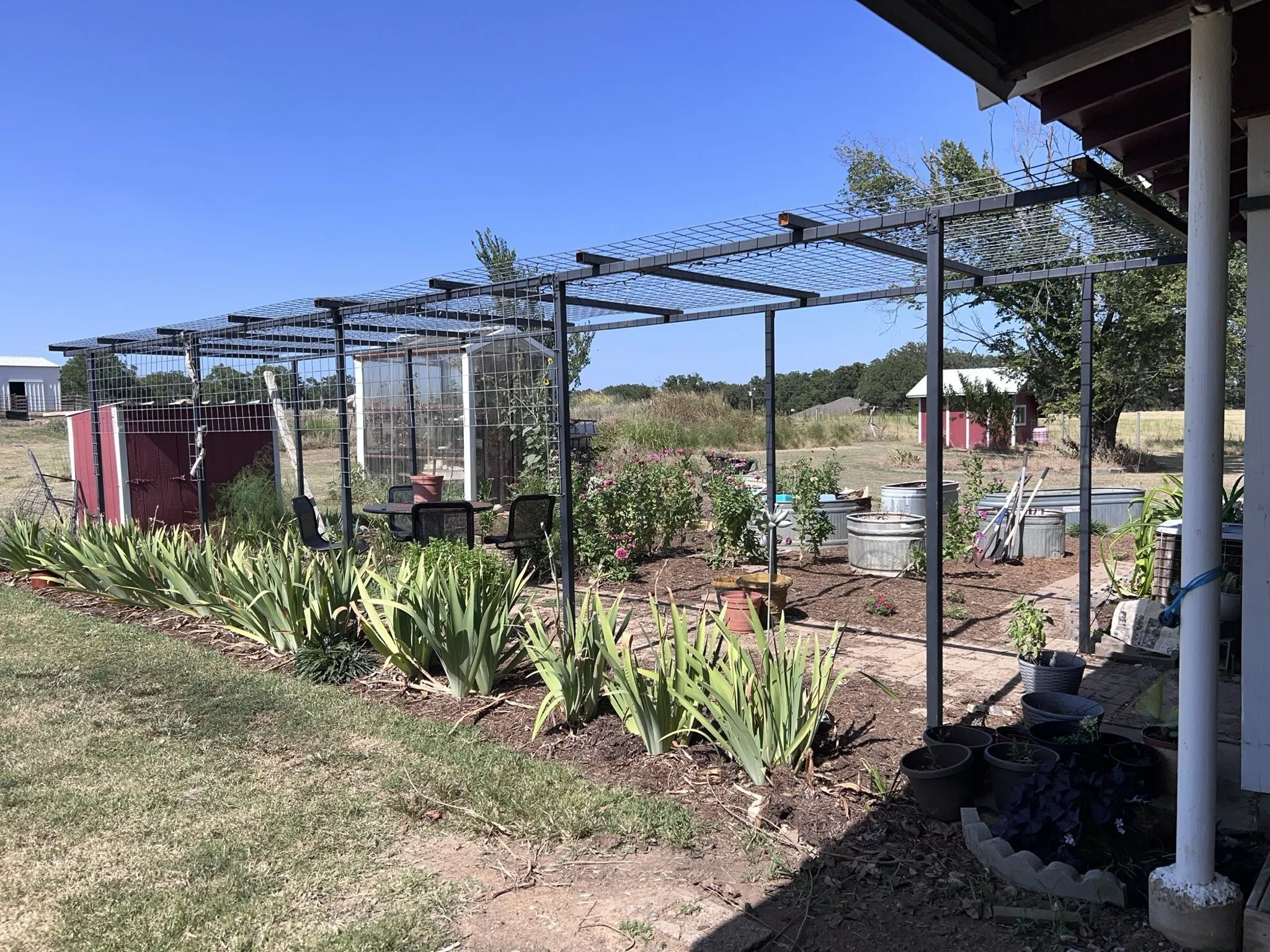 Garden area behind the house