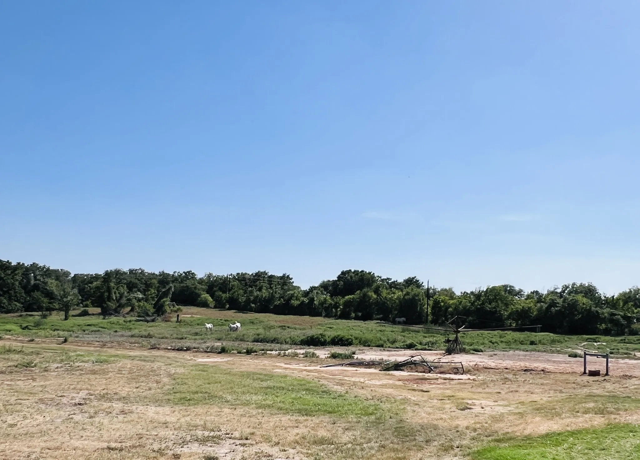 Expansive open land with varying vegetation and distant tree lines under a clear sky