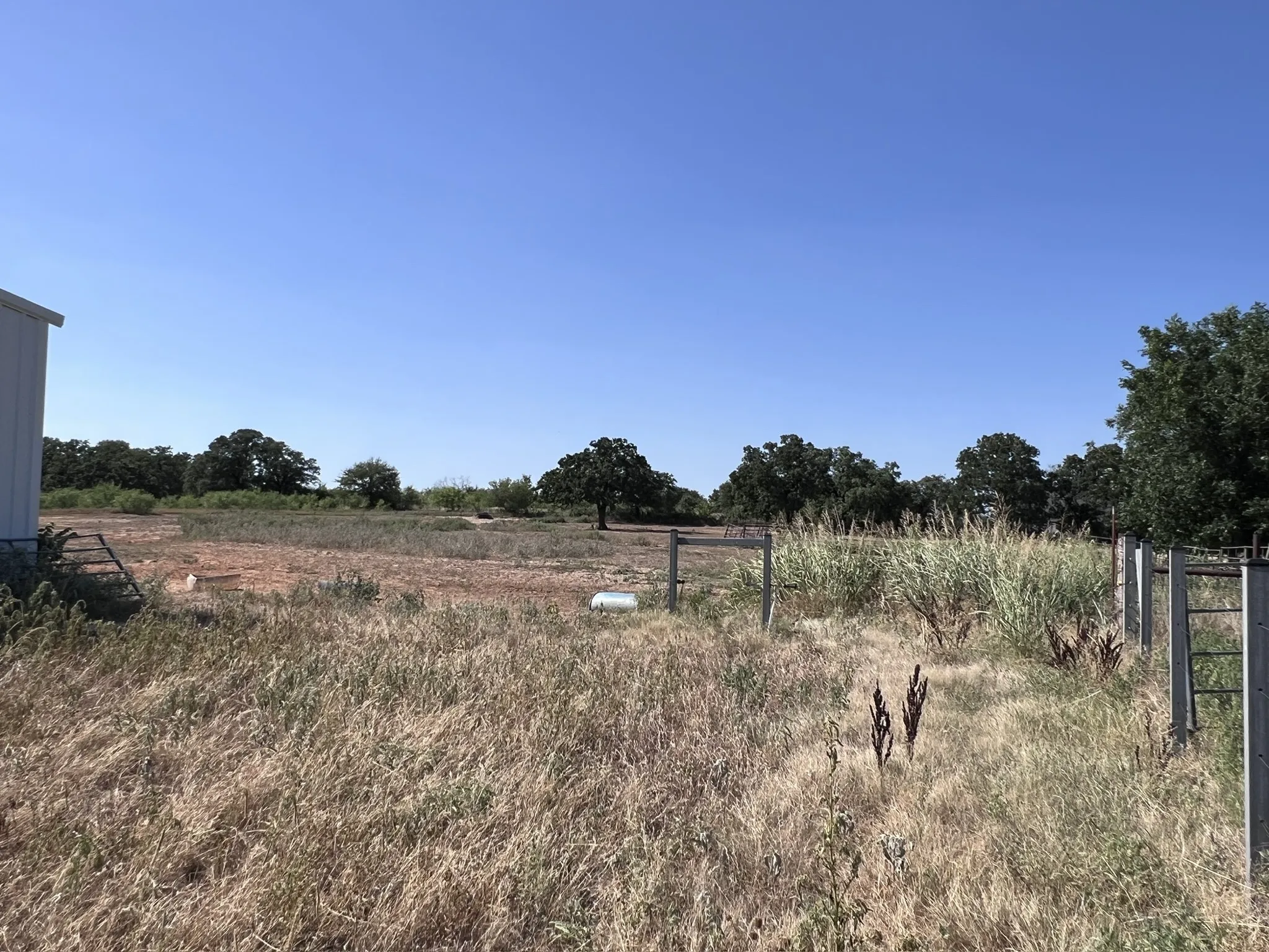 Expansive rural landscape featuring mature trees, a clear blue sky, and a combination of natural grasses and open ground