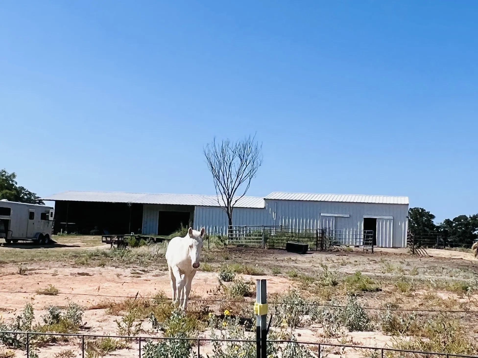 Barn with stable area, shed, pens and storage