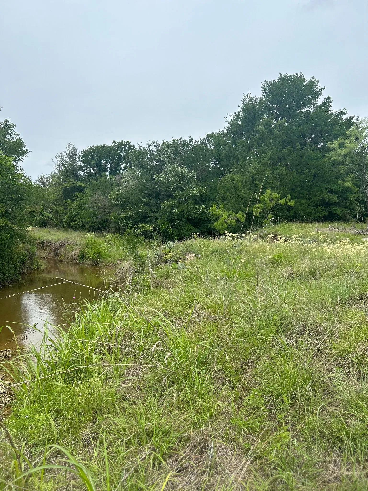 Unimproved Land For Sale in Erath County , TBD Round Up Court, Stephenville, Texas 76401, 0, 0, Garage spaces, 0 Sqft, built in 0, mls#21339683, Real Estate Agent in Stephenville, Homes For Sale in Erath county, Homes For Sale in Stephenville, Realtor in Stephenville Texas, Real Estate Brokerage Independent Realty Texas, Luminita Cordes Realtor