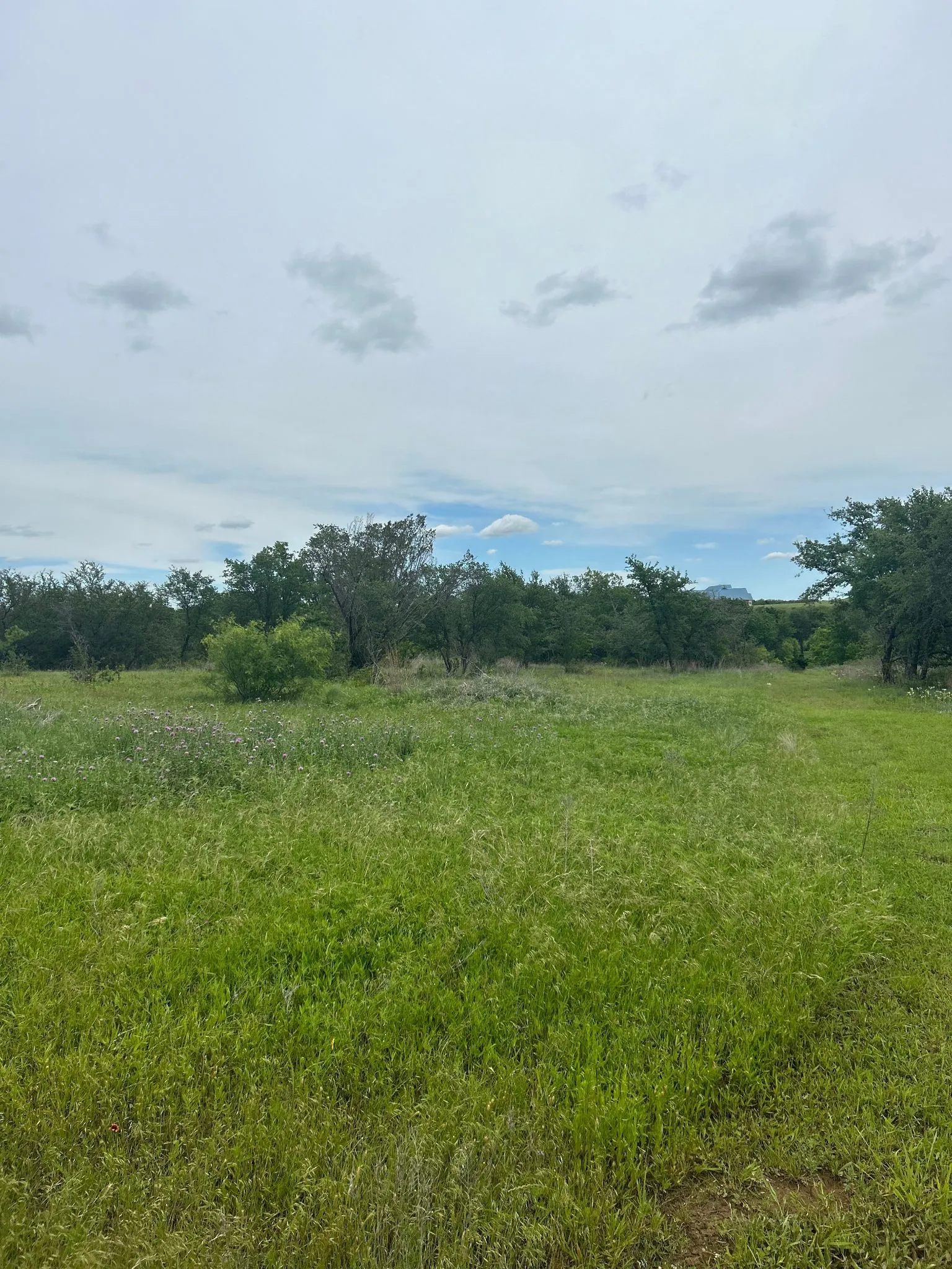 Southern property line
