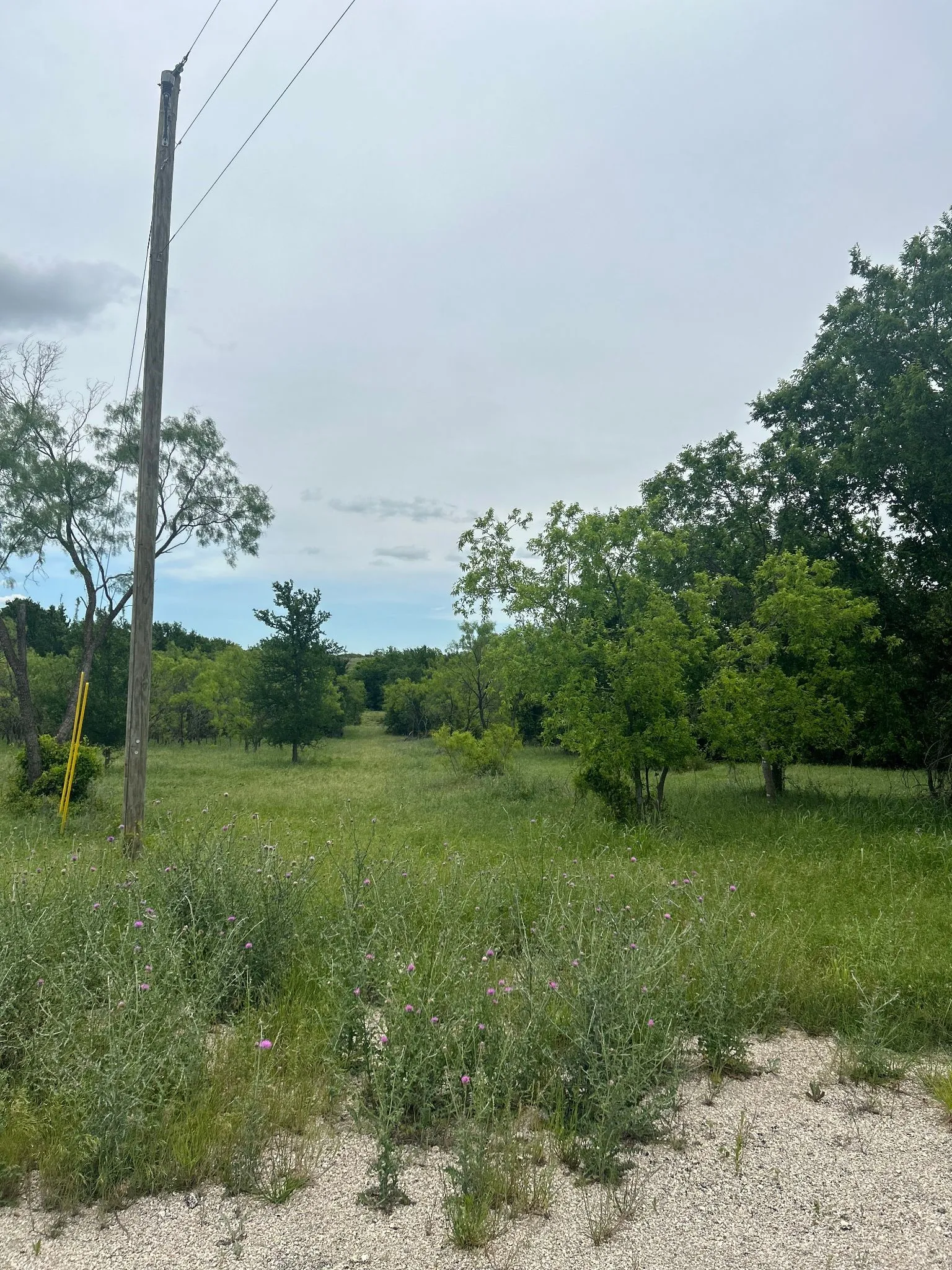 Northern property line