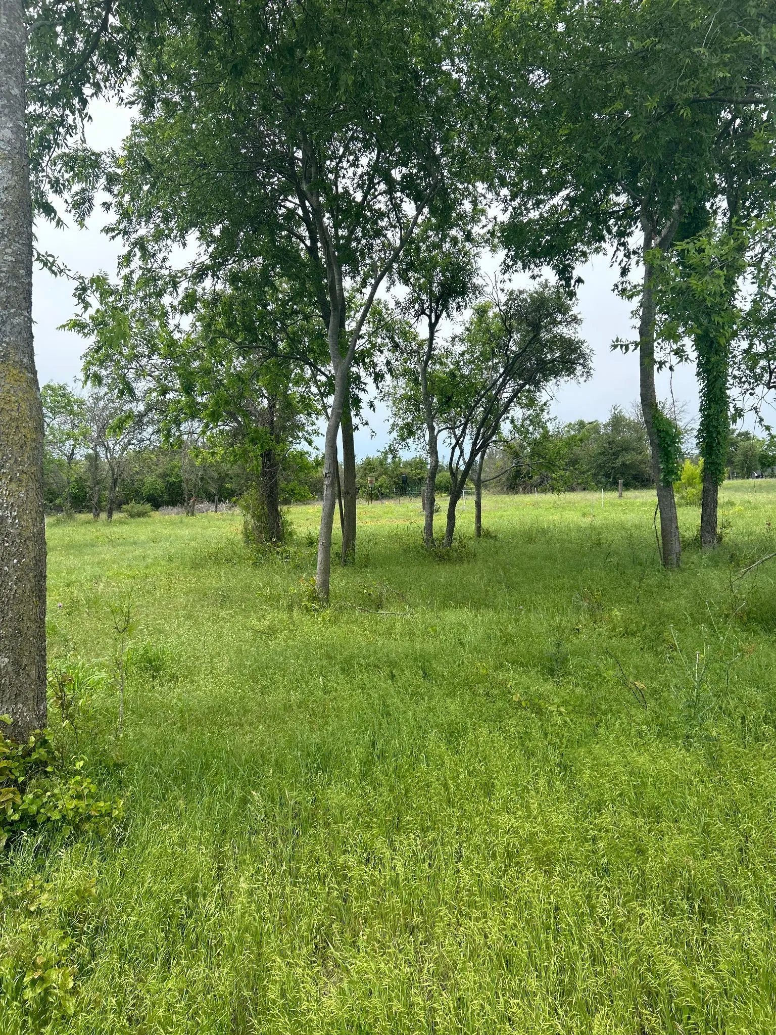 Unimproved Land For Sale in Erath County , TBD Round Up Court, Stephenville, Texas 76401, 0, 0, Garage spaces, 0 Sqft, built in 0, mls#21339683, Real Estate Agent in Stephenville, Homes For Sale in Erath county, Homes For Sale in Stephenville, Realtor in Stephenville Texas, Real Estate Brokerage Independent Realty Texas, Luminita Cordes Realtor