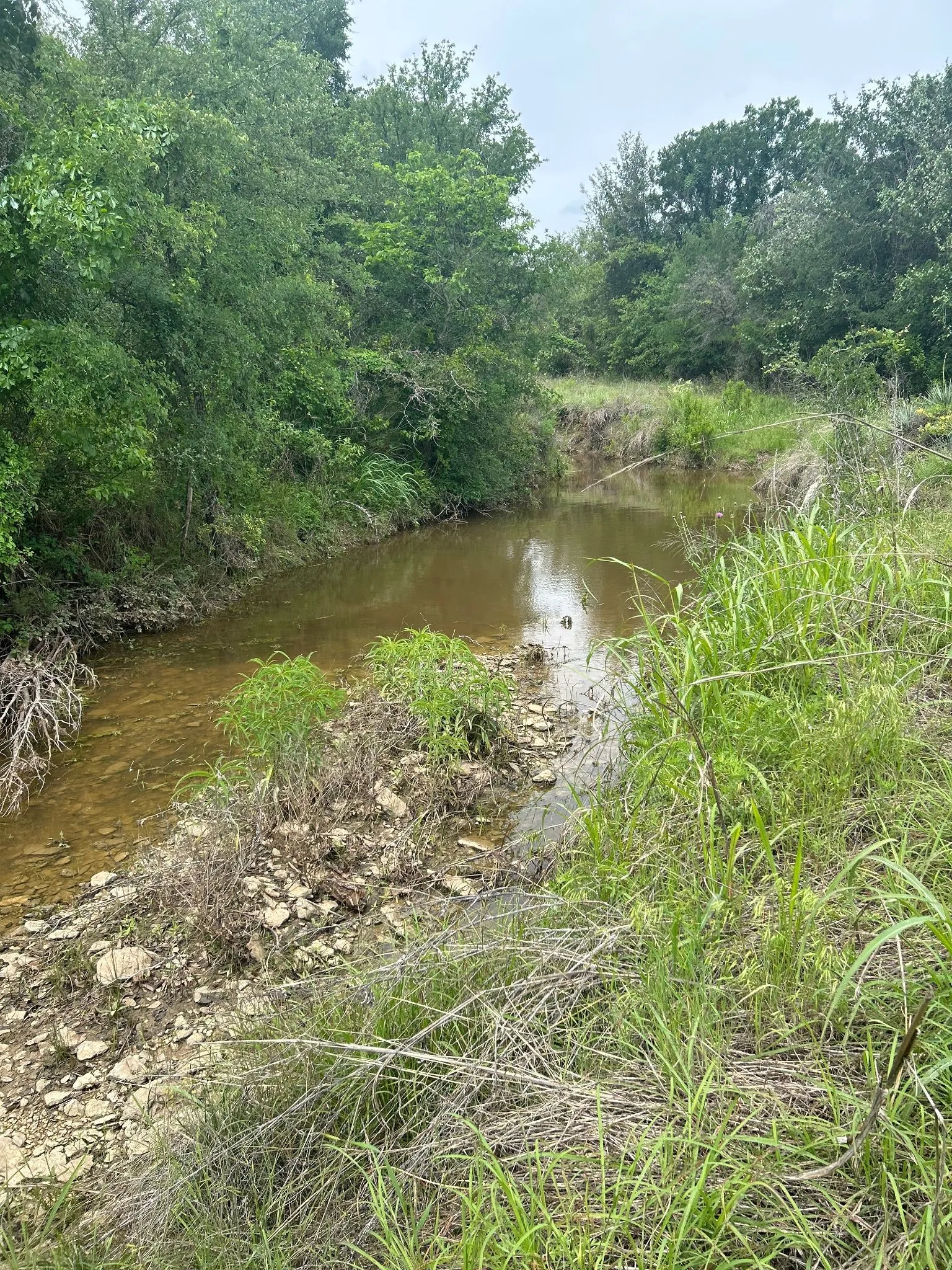 Creek 1